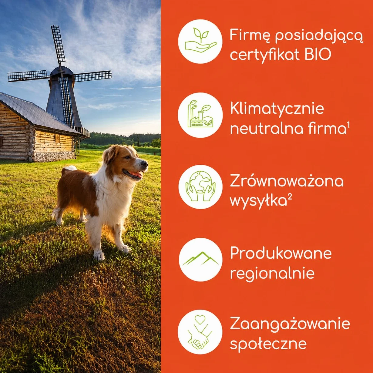 Pasta witaminowa dla kotów – multivitaminy z 7 ważnymi witaminami i tauryną – wzmacnia odporność i system immunologiczny – naturalna przekąska dla kota 100g