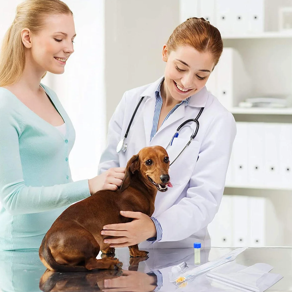 Zestaw do Sztucznej Inseminacji Dla PsóW, Zestaw do Hodowli PsóW, Zestaw do Sztucznej Inseminacji Dla PsóW, Zestaw do Inseminacji Dla ZwierząT Domowych, Zestaw do Sztucznej Inseminacji Ai
