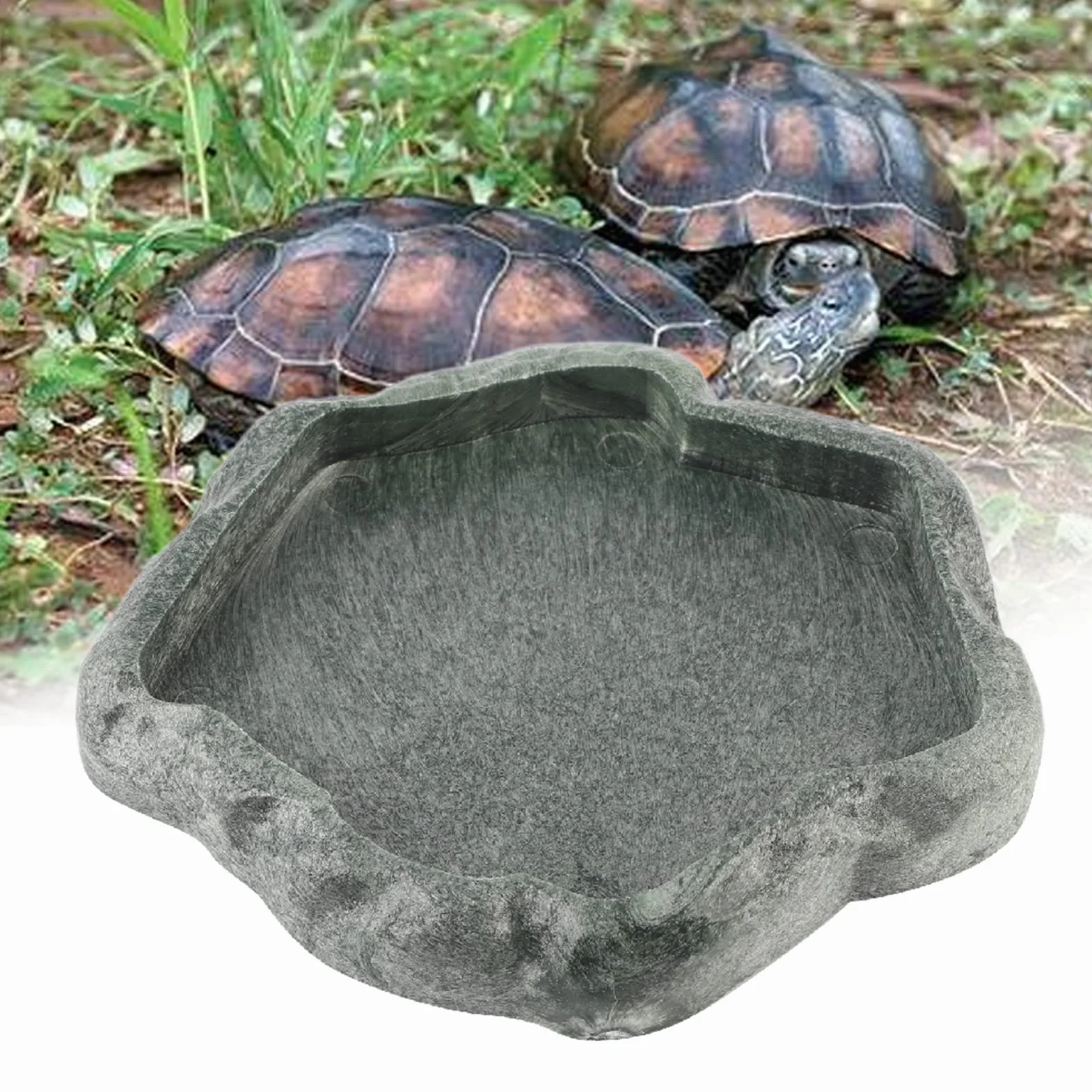 ciciglow Dozownik wody do gadów, karmnik miski żółwia ziemnego, popijający gady, do żywności i wody dla jaszczurki gekon brodaty (zielony S)