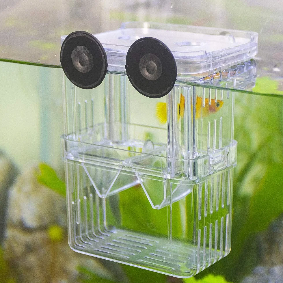 SENZEAL Plastikowe pudełko do izolowania ryb Wielofunkcyjne zbiorniki hodowlane Inkubator do inkubatora z 3-częściową pipetą Pasteura (105x75x135mm)