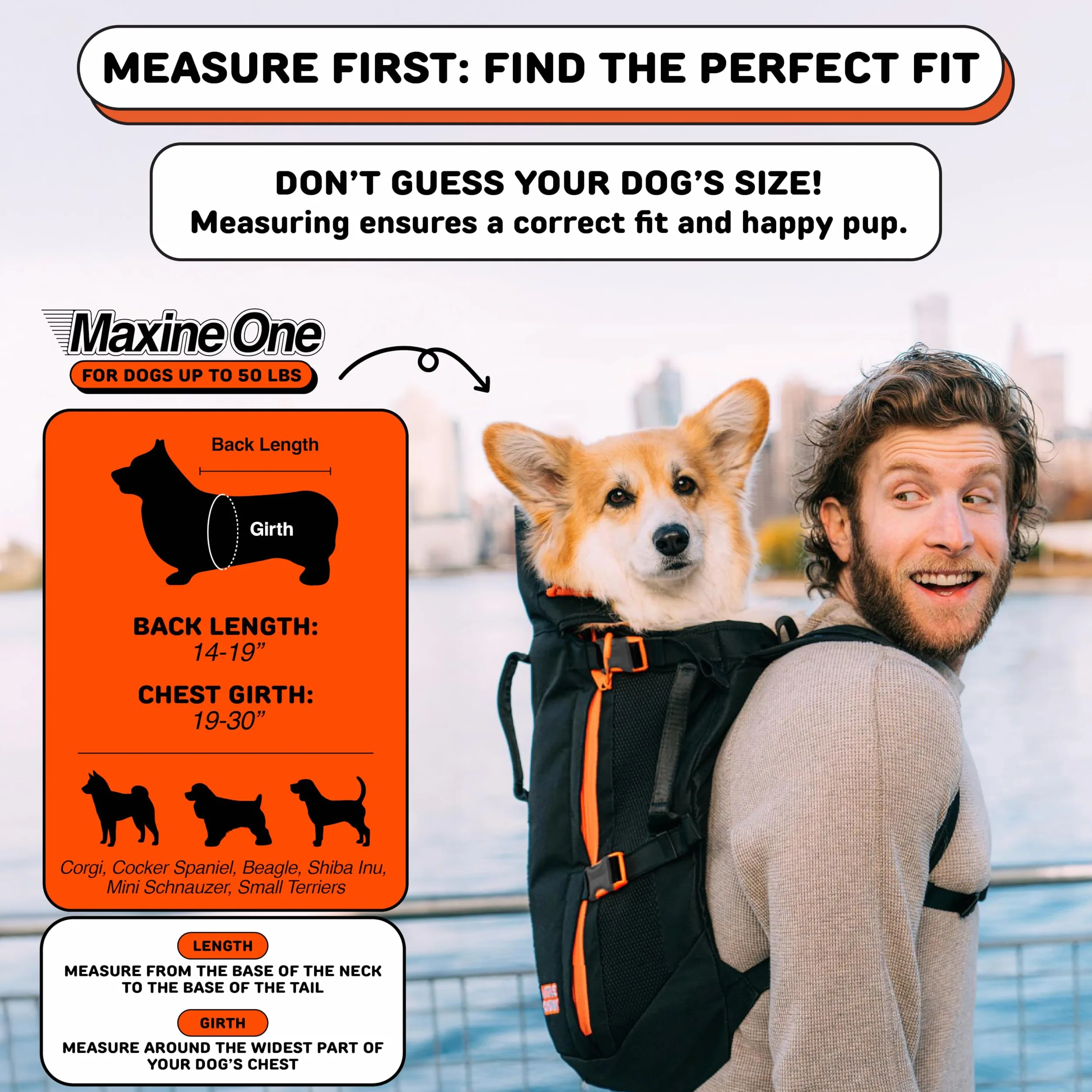 Maxine One Dog Backpack Carrier firmy LITTLE CHONK, regulowana torba skierowana z przodu do podróży lub wędrówek, stworzony dla zwierząt domowych o wadze do 22,7 kg, czarny