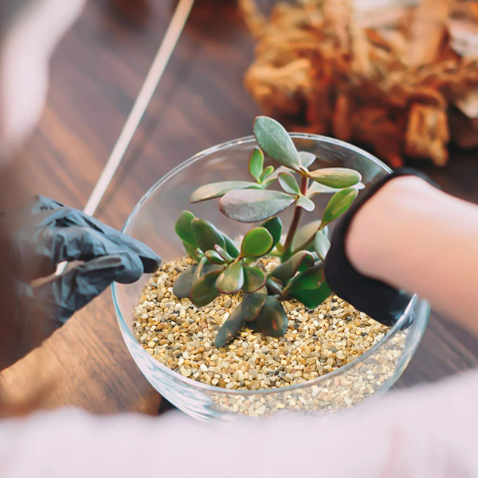 Gruby piasek - sukulenty i kaktus bonsai projekty DIY skały, żwir dekoracyjny do roślin i wazonów, wypełniacze, terrarium, bajkowe ogrodnictwo, naturalny kamień górny opatrunek do roślin doniczkowych.