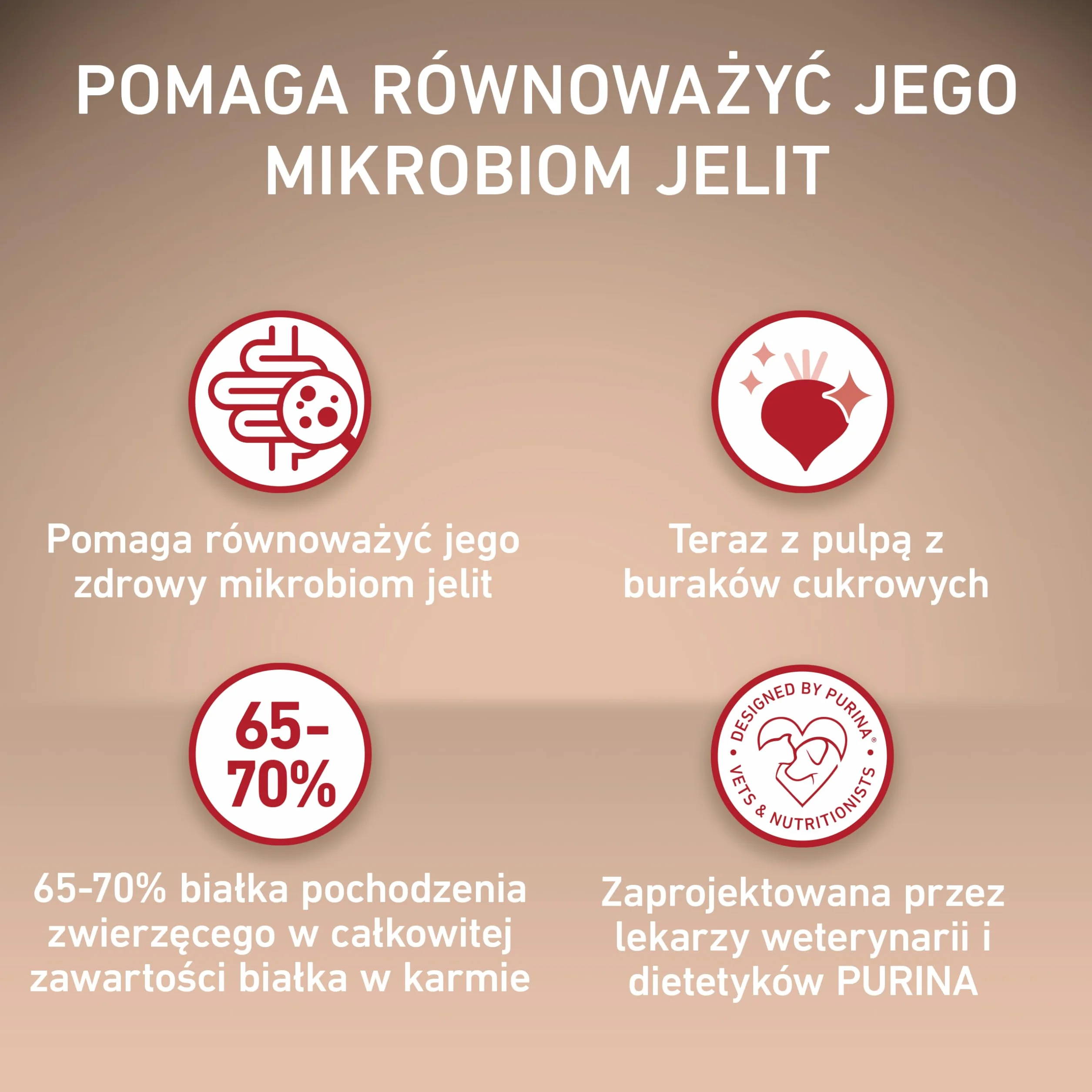 Purina One Mini/Small Active Karma dla Psa, Wołowina I Ryż, 8x800 g