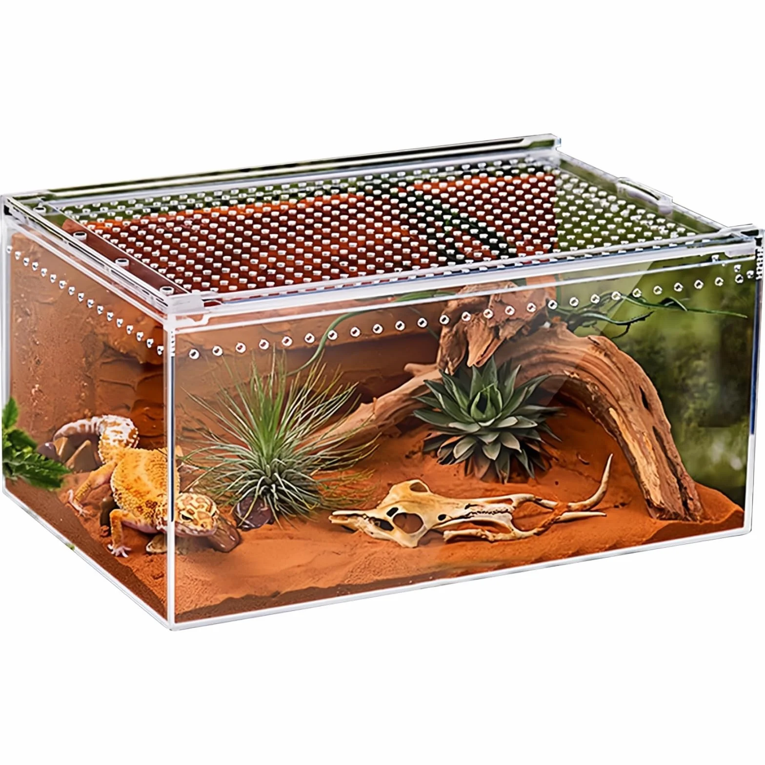 Magnetyczna skrzynka terrarium dla gadów MUYYIKA, wielowarstwowe vivarium, skrzynka karmnika dla gadów do pająków, skorpionów, chrząszczy, ropuch rogowych