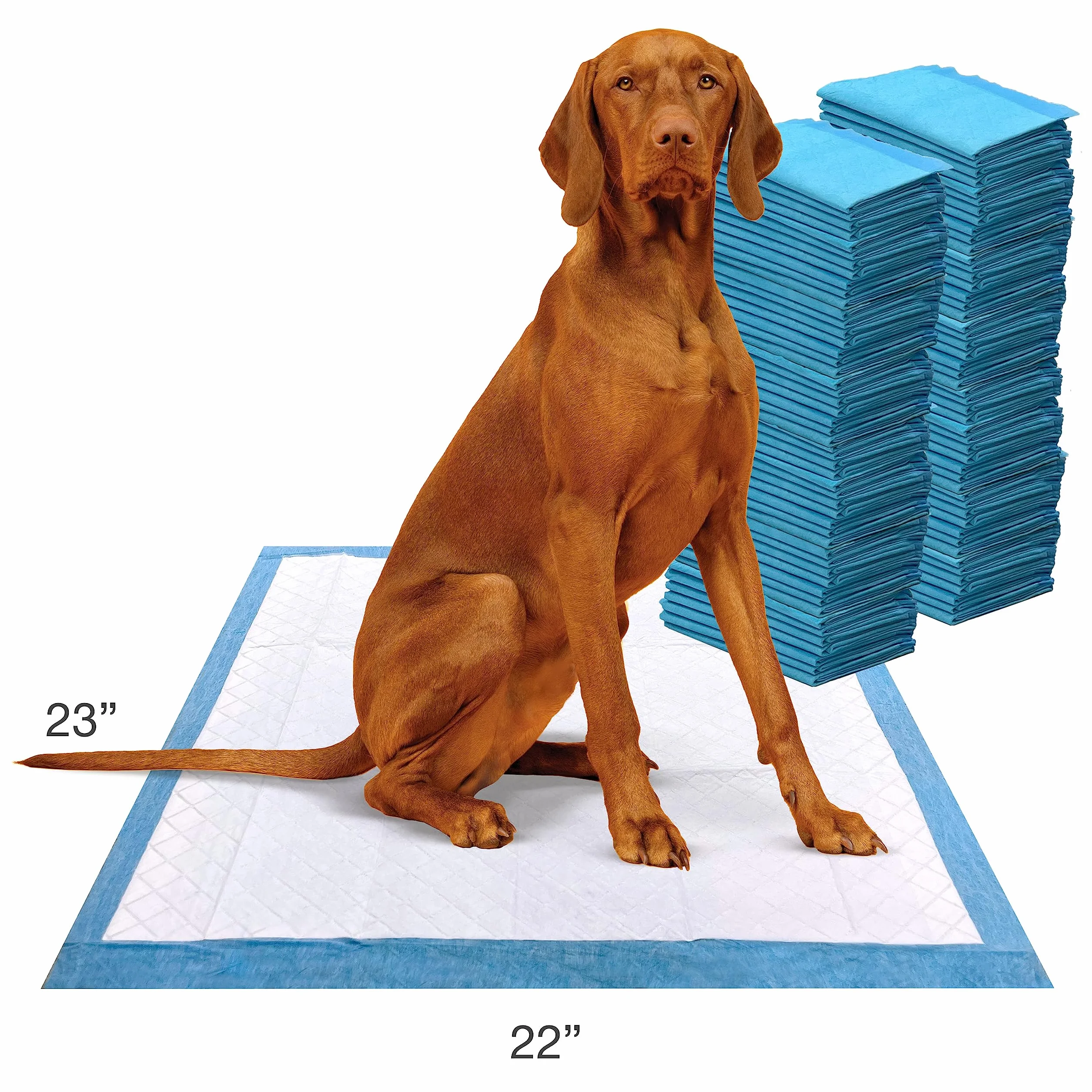 Four Paws Wee-Wee – zaawansowana formuła, bezzapachowe podkładki do moczu dla psów i szczeniaków, szczelne, trening nocnika, ochrona podłogi, 56 x 58,4 cm, 100 sztuk