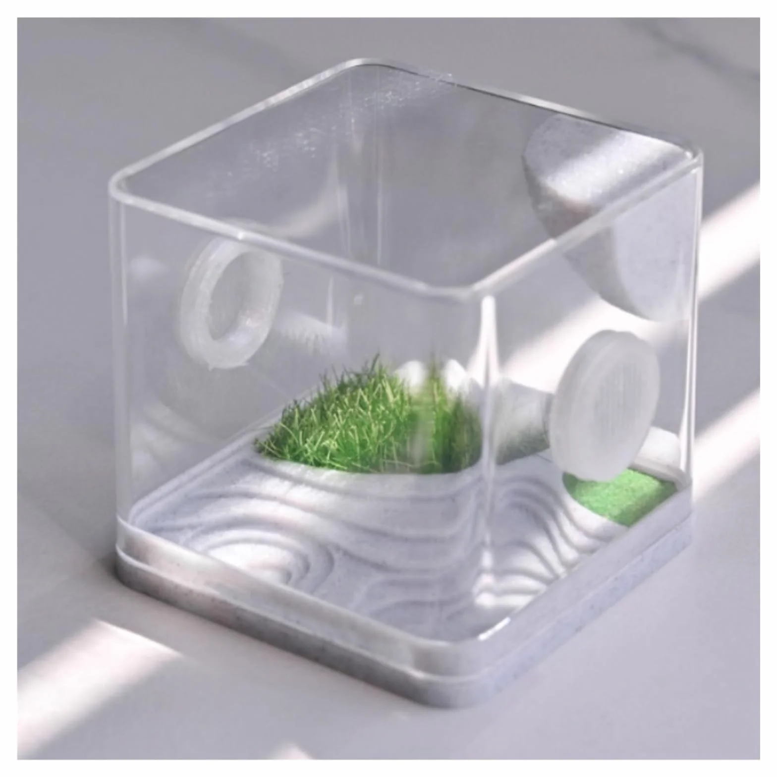 Pojemnik na Owady Obudowa Dla Pająków Skaczących, Akrylowa Obudowa Do Terrarium Dla Gadów Owadów Terraria(8x7cm)