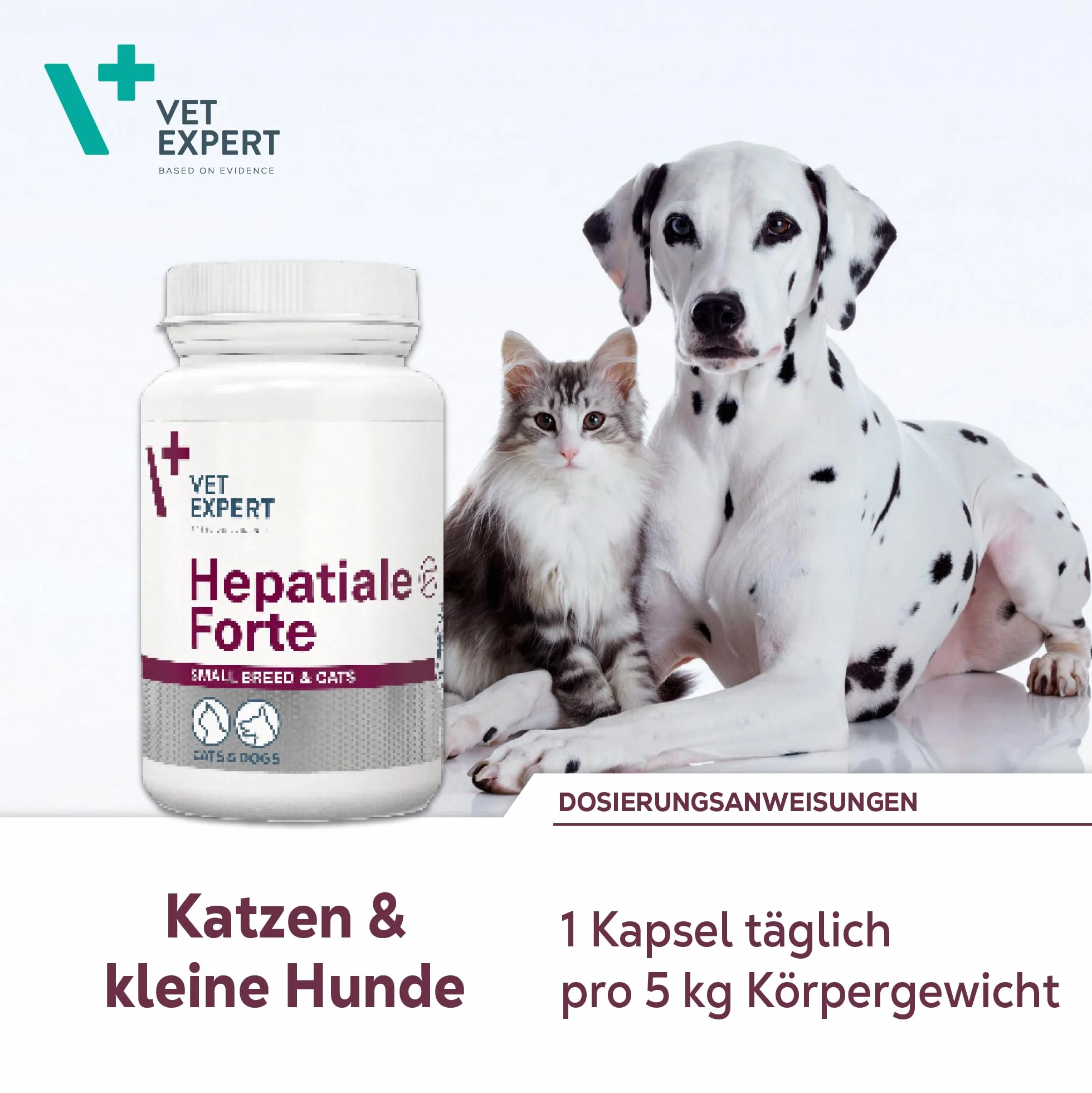 VetExpert Hepatiale Forte Small Breed & Cats Twist-Off | 40 kapsułek | karma uzupełniająca dietetyczna dla małych psów i kotów