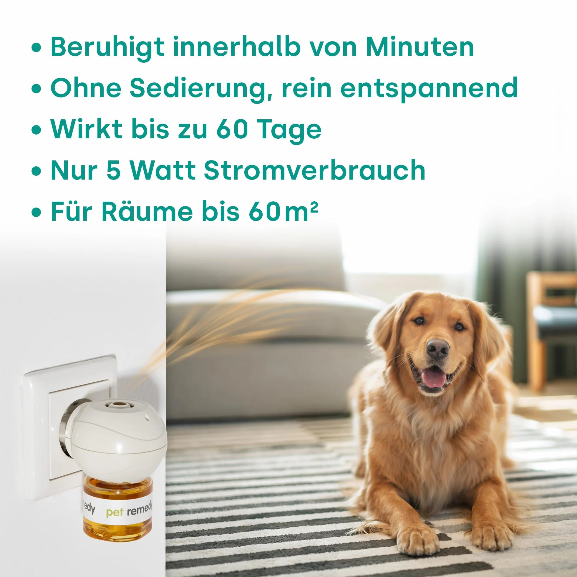 Pet Remedy All in One zestaw uspokajający – sztyft zapachowy i mini spray przeciwko stresowi u zwierząt domowych, naturalny zestaw antystresowy dla psów, kotów i małych zwierząt, neutralne pH i