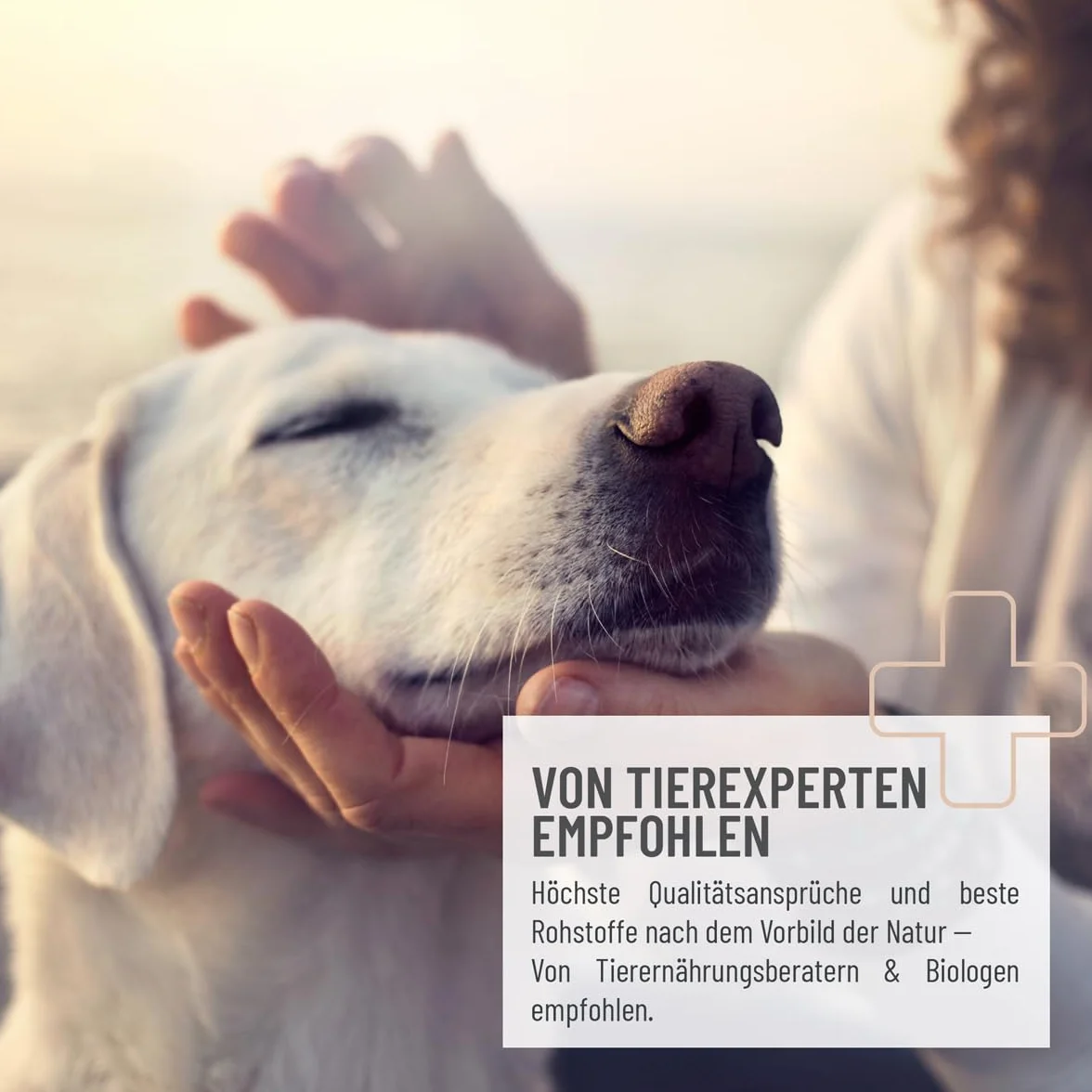 ReaVET Łuski psyllium dla psów i kotów 250 g – naturalne, czyste w jakości premium, bogate w błonnik, bezglutenowe, nasiona pcheł dla psów i kotów w jakości premium, bez dodatków