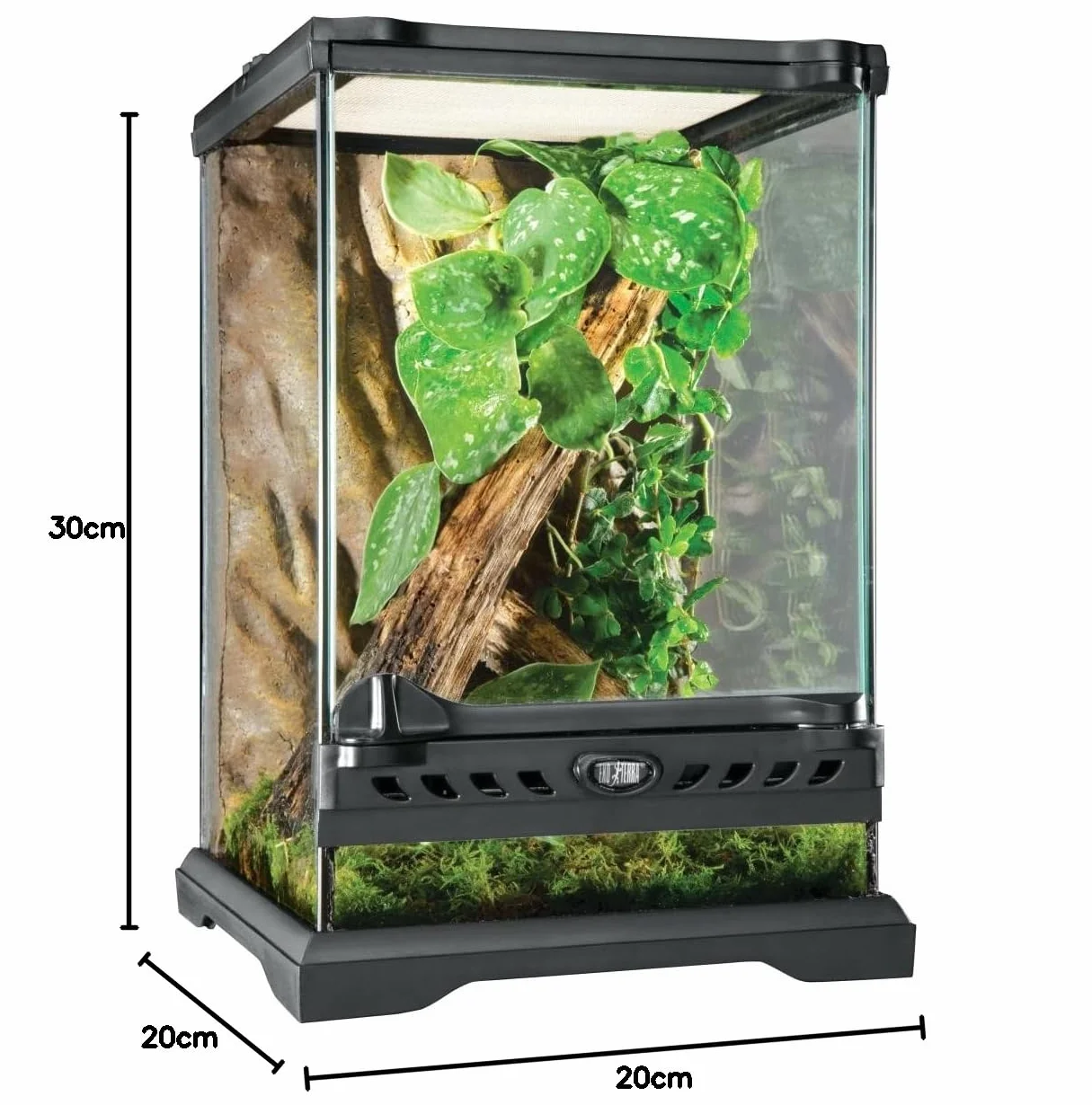 Exo Terra Terrarium, Przezroczysty/Czarny, 20x20x30 cm (1er Pack)