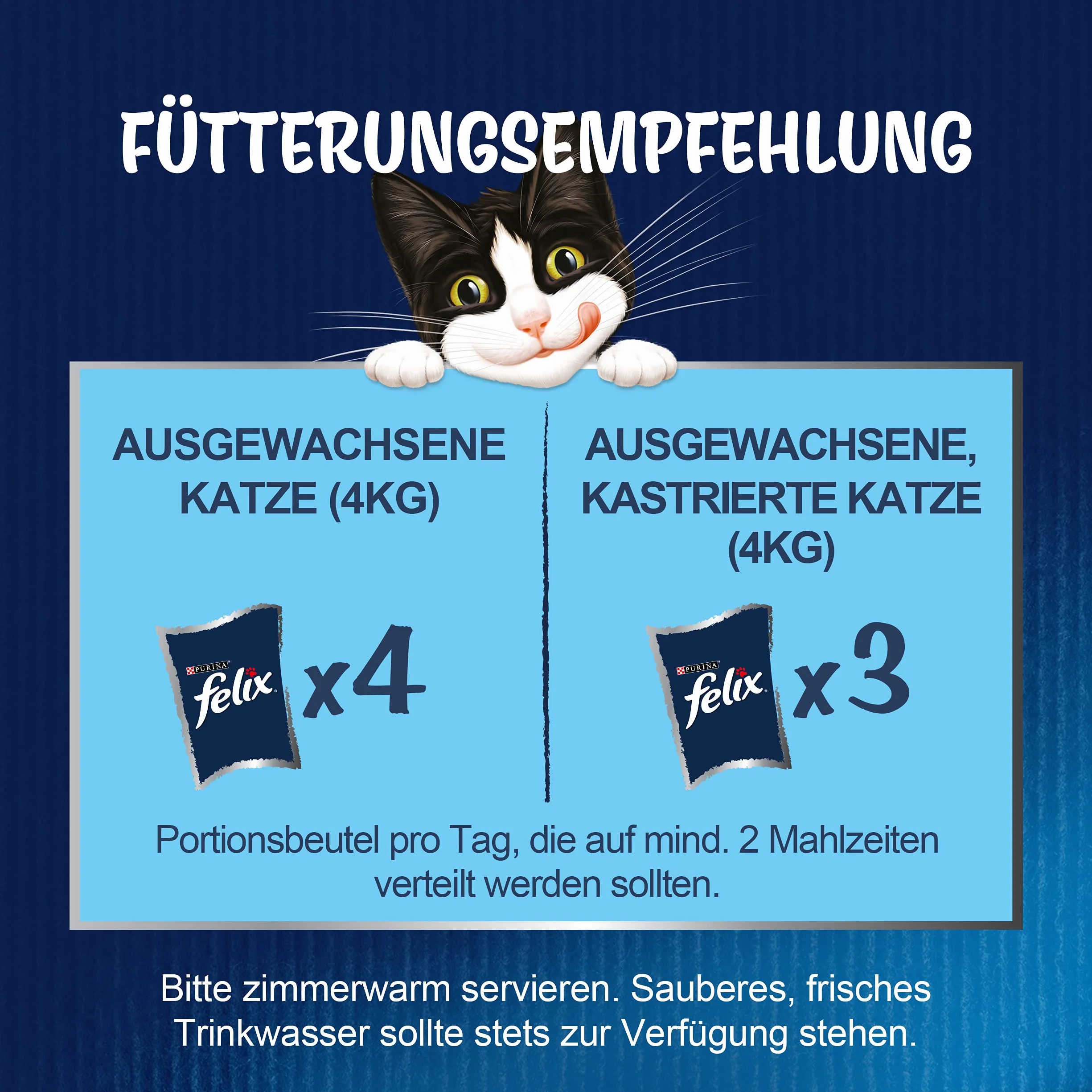 Nestlé Felix Fantastic Karma dla Kota, Miks, 10.2 kg