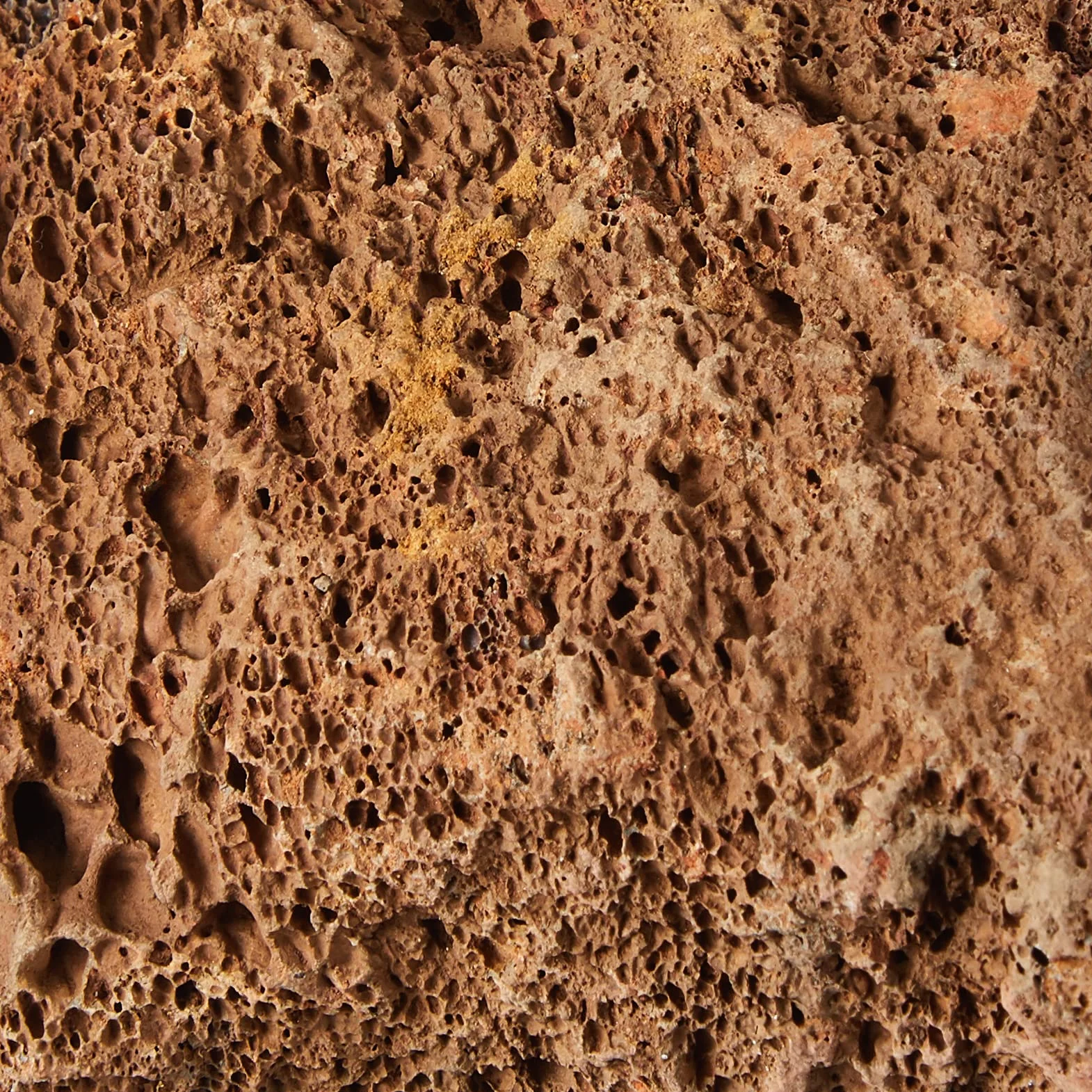 Sera Rock Red Lava S/M 8-15 cm ciemnoczerwony kamień lawowy