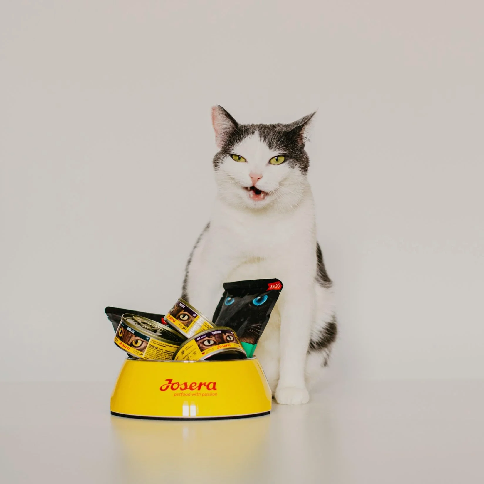 JosiCat Kitten (1 x 10 kg) | Karma dla kotów o wysokiej zawartości energii i cennym olejku z łososia i witamin, sucha karma premium dla rosnących i karmiących kotów, Powered by JOSERA, 1 szt. w