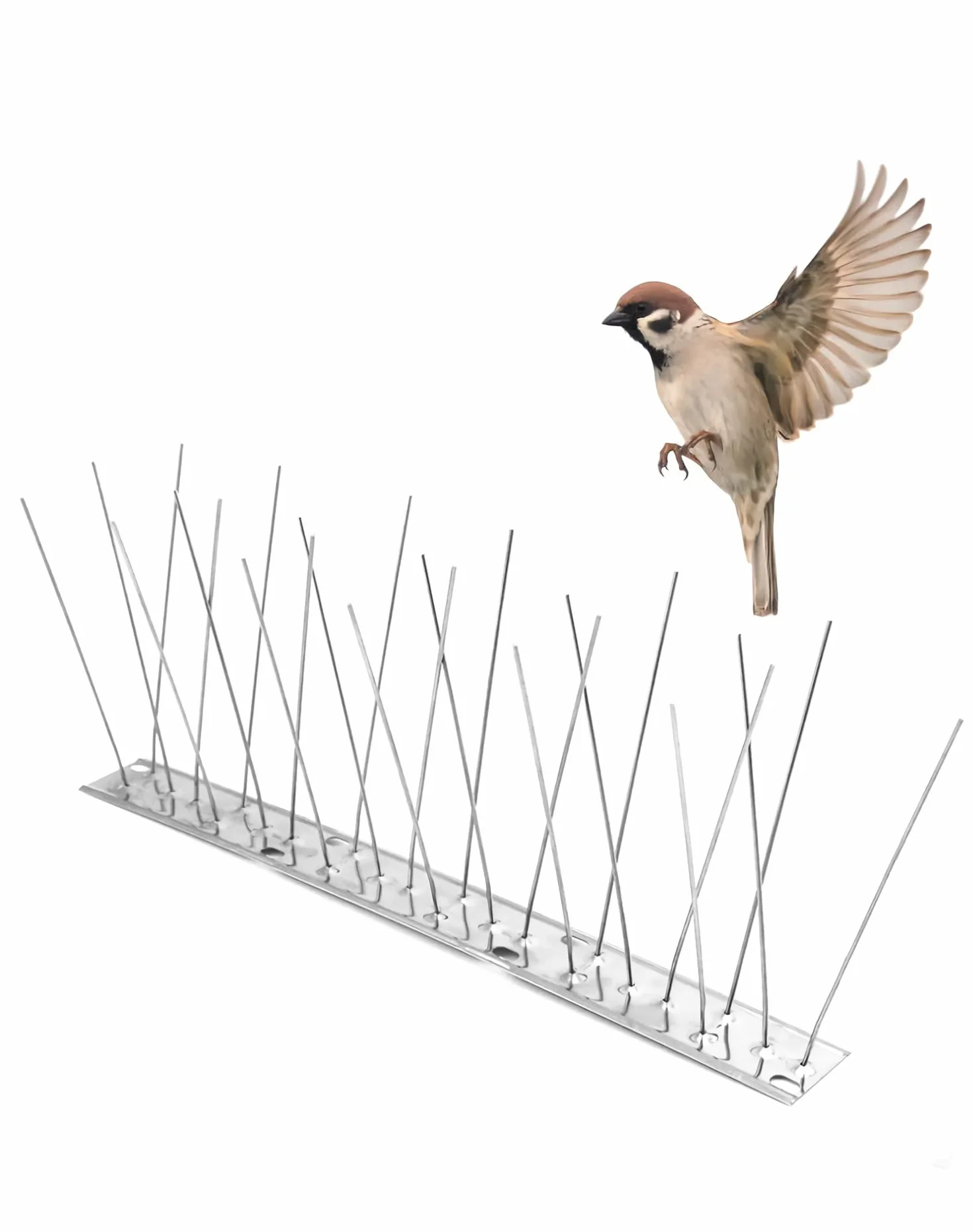 QWORK® 12 szt. x 25 cm kolce ze stali nierdzewnej odstraszające gołębie ochrona gołębi na balkon na dachu oranżerii, całkowita długość 3 metry