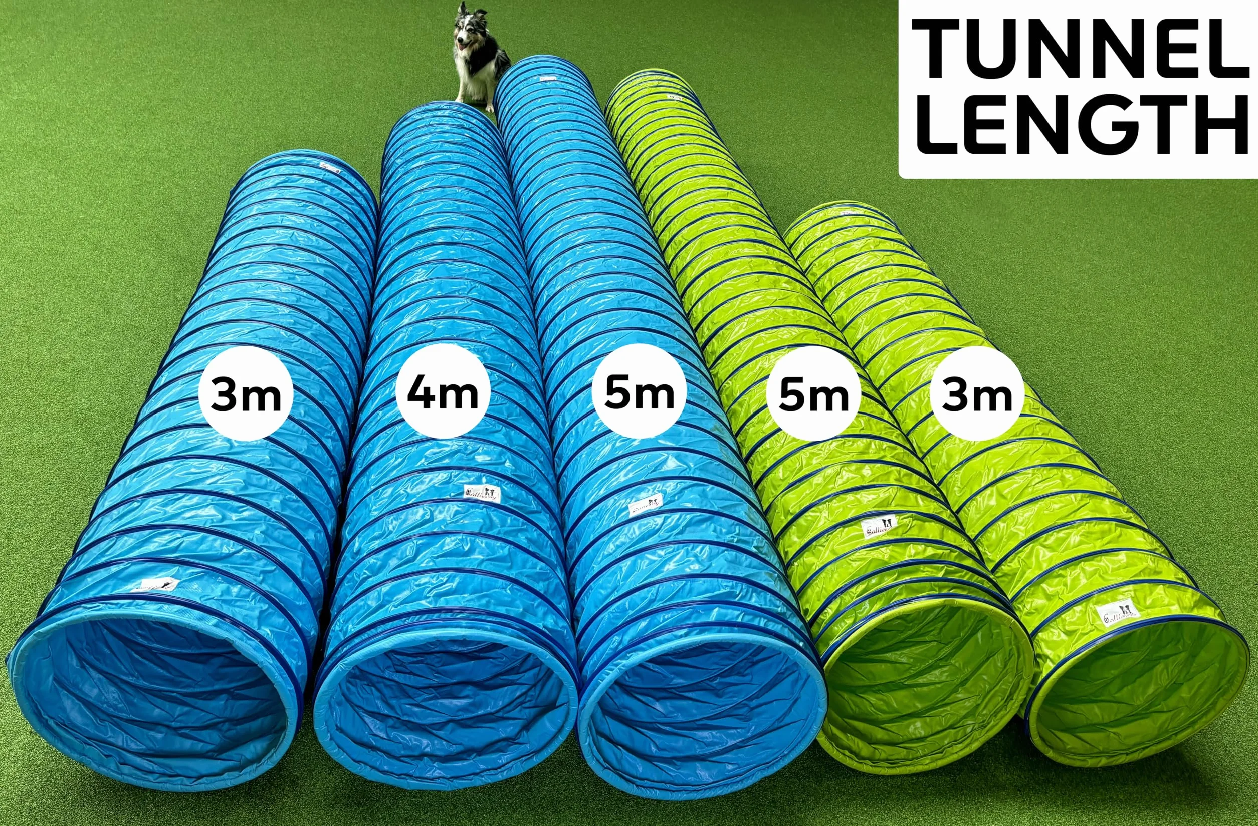 Callieway® Dog Agility tunel profesjonalny / psy tunel 5 m długości / 60 cm Ø Agility urządzenie (5 m, limonkowa zieleń)