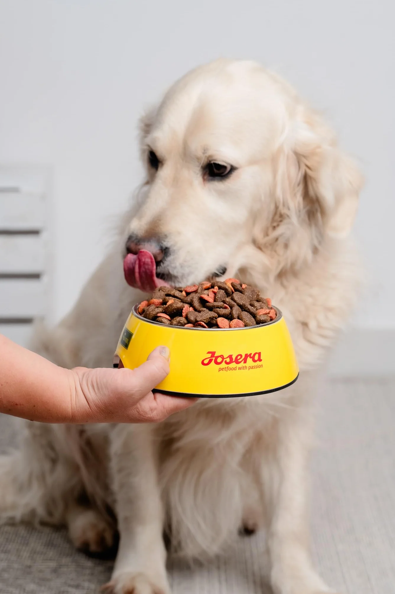 JosiDog Economy Sucha Karma dla Dorosłych Psów, 15 kg