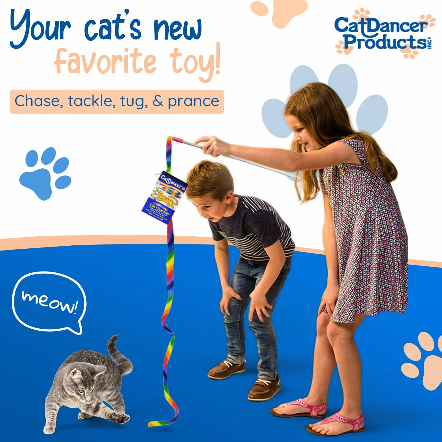 Cat Dancer Products Tęczowy wisiorek dla kotów, 1 sztuka (1 opakowanie)