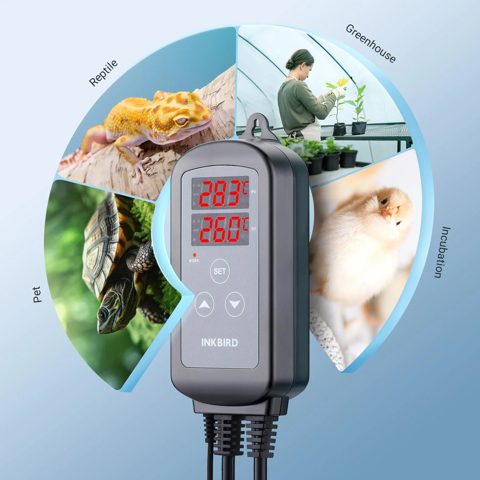 Inkbird ITC-2T termostat, cyfrowy regulator temperatury z dwoma gniazdkami grzewczymi, timer cyklu dzień/noc, funkcja alarmowa, do terrarium, szklarni, zwierząt płozonych
