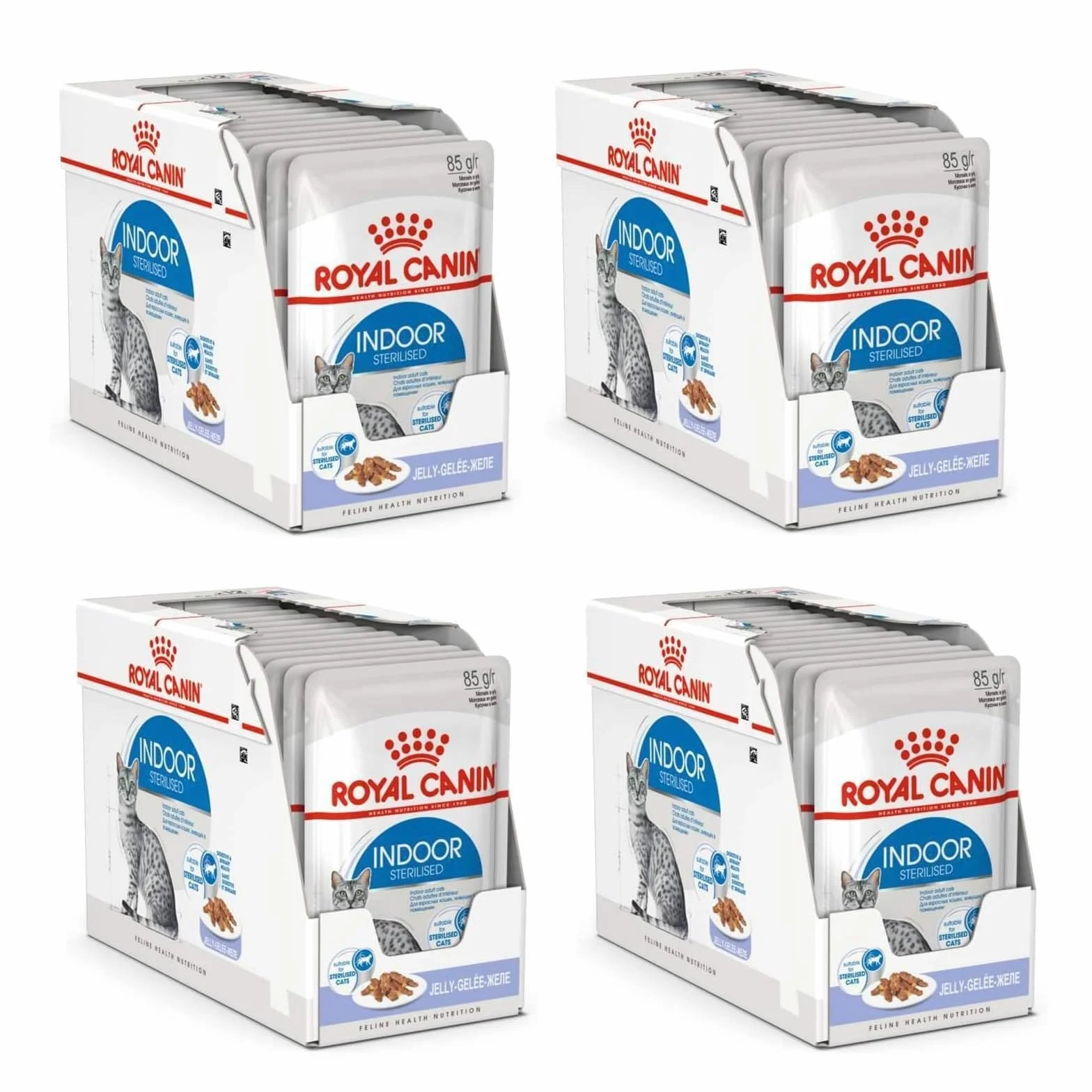 Royal Canin Indoor Sterylised in Gelee | 4 sztuki w opakowaniu | 4 x 12 x 85 g | pełnoporcjowa karma dla dorosłych kotów mieszkających w domu | dla sterylizowanych kotów | przekąski w galaretce