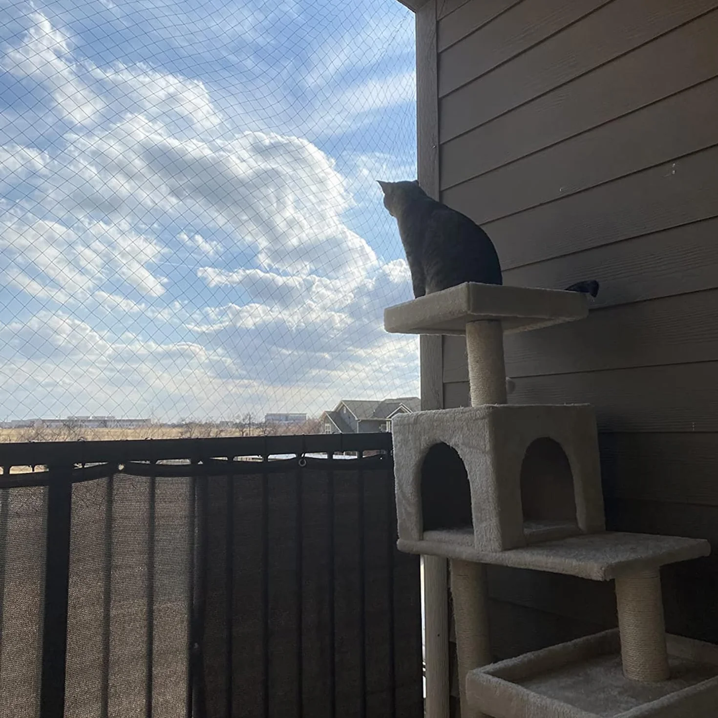 Siatka dla kota na balkon, 6 x 3 m, wzmocniona drutem, z linką mocującą 19 m, mocna, trwała, odporna na promieniowanie UV, odporna na warunki atmosferyczne, nadaje się na balkon, taras i okna