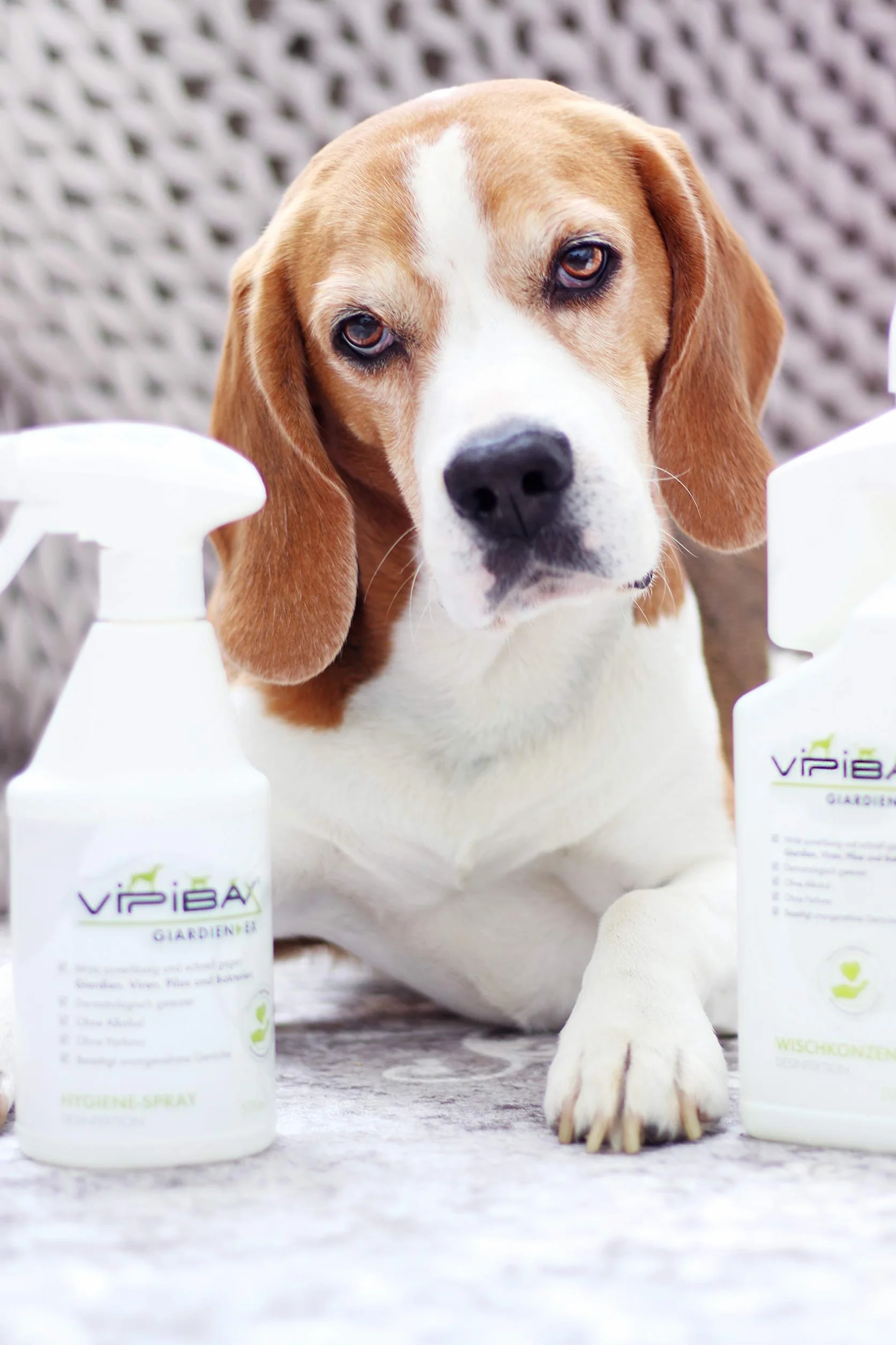 VIPIBAX WK1000 Giardien Ex Koncentrat Higieniczy dla Zwierząt Domowych, 1000 ml