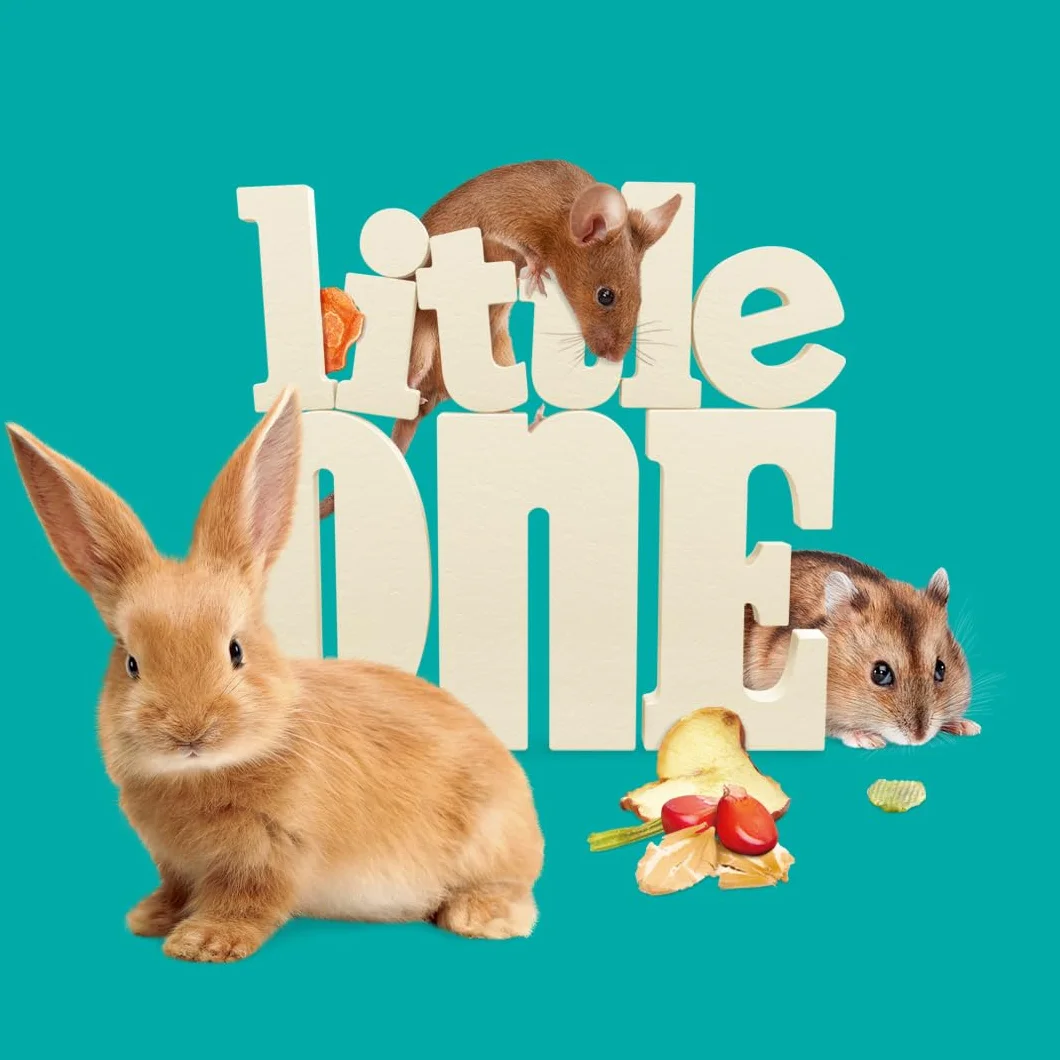 Little One Vegetable Mix przekąska, dwupak, 2 x 140 g, karma uzupełniająca dla gryzoni i królików miniaturowych, mieszanka składa się z pięciu różnych suszonych warzyw