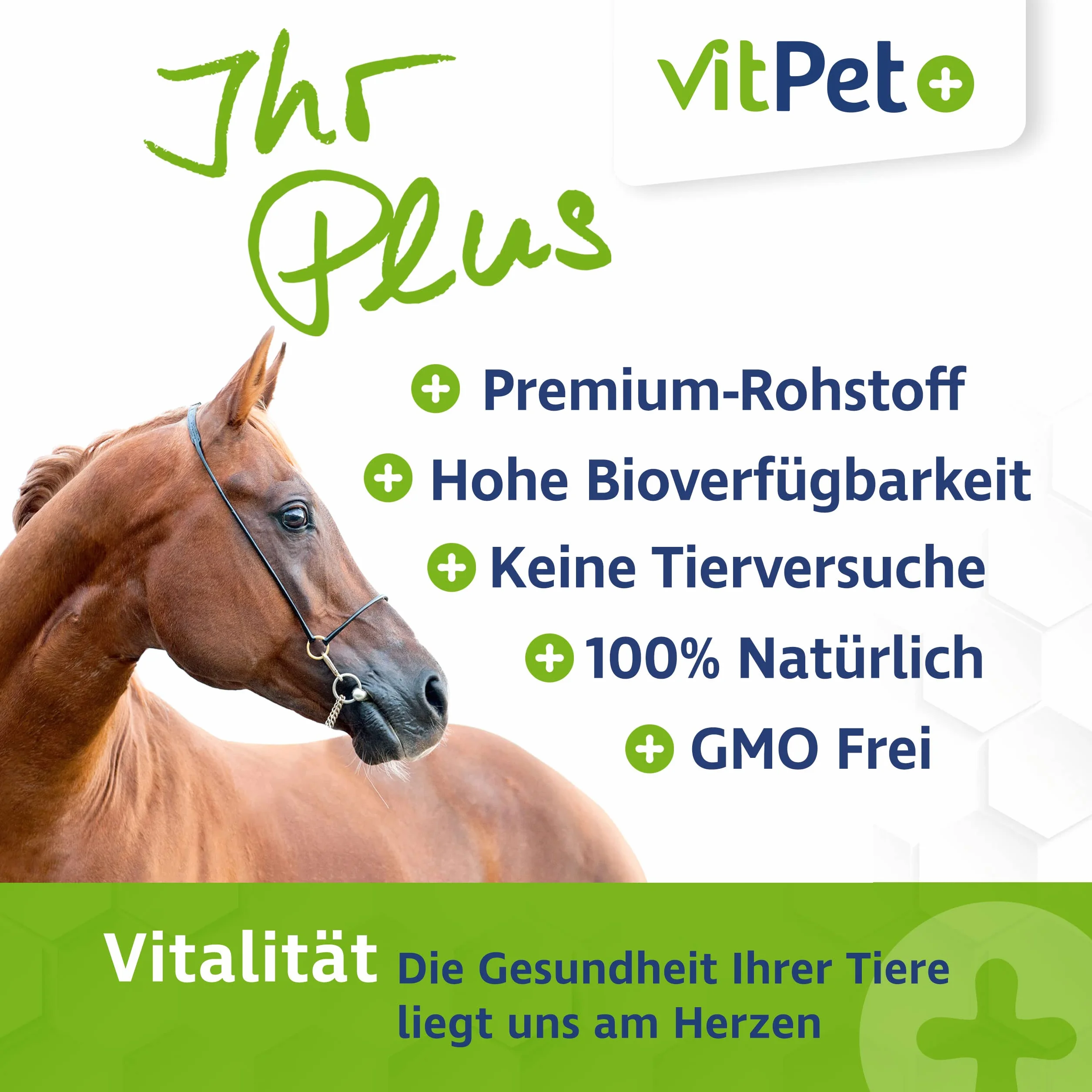 MSM Pferd - Premium MSM Pulver für Pferde im 1,8 kg Eimer inkl. Dosierlöffel (Methylsulfonylmethan- / Schwefel-Pulver für Pferde und Hunde)