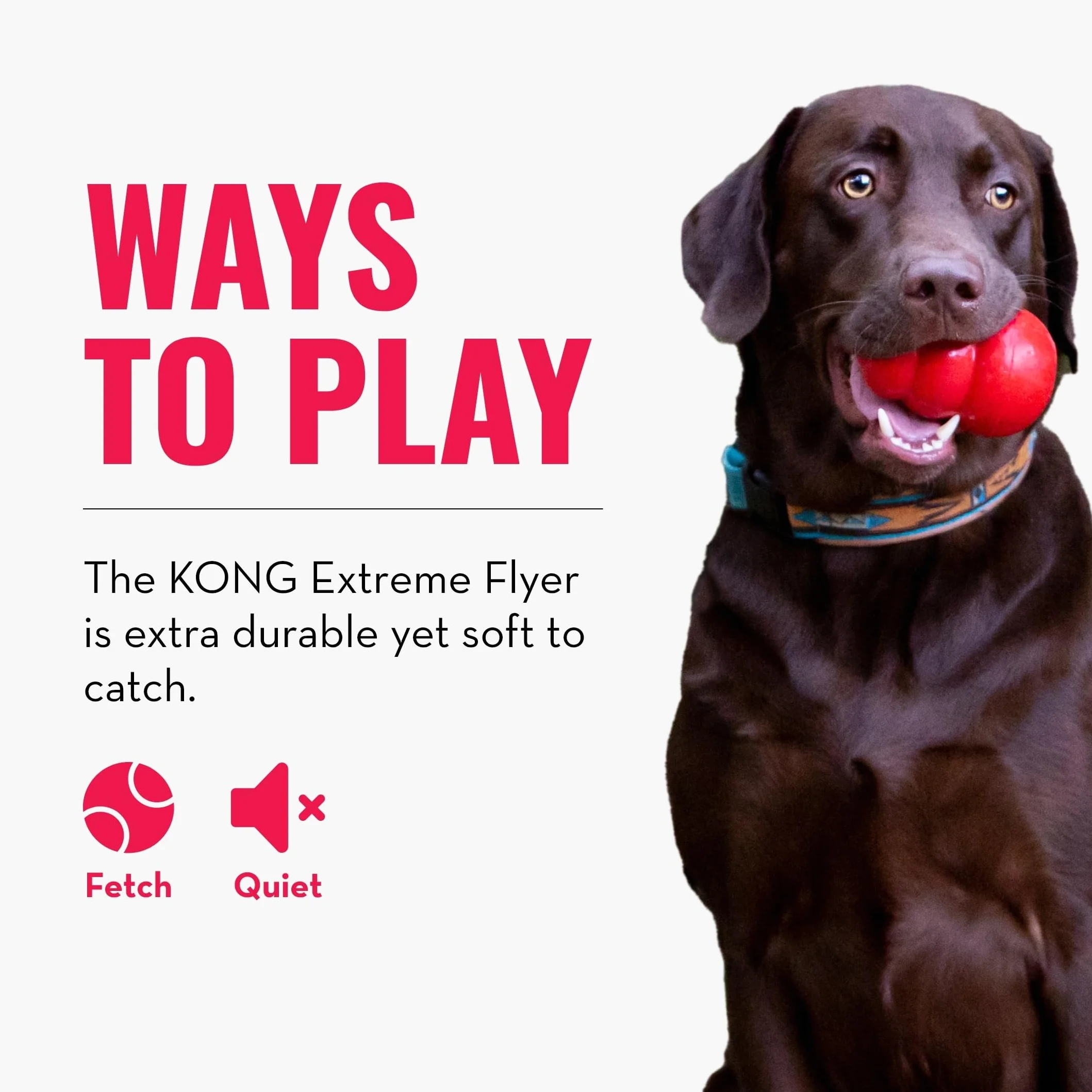 Kong - Flyer Extreme - Kauczuk naturalny, odporny na działanie wody, 24 cm - czarny