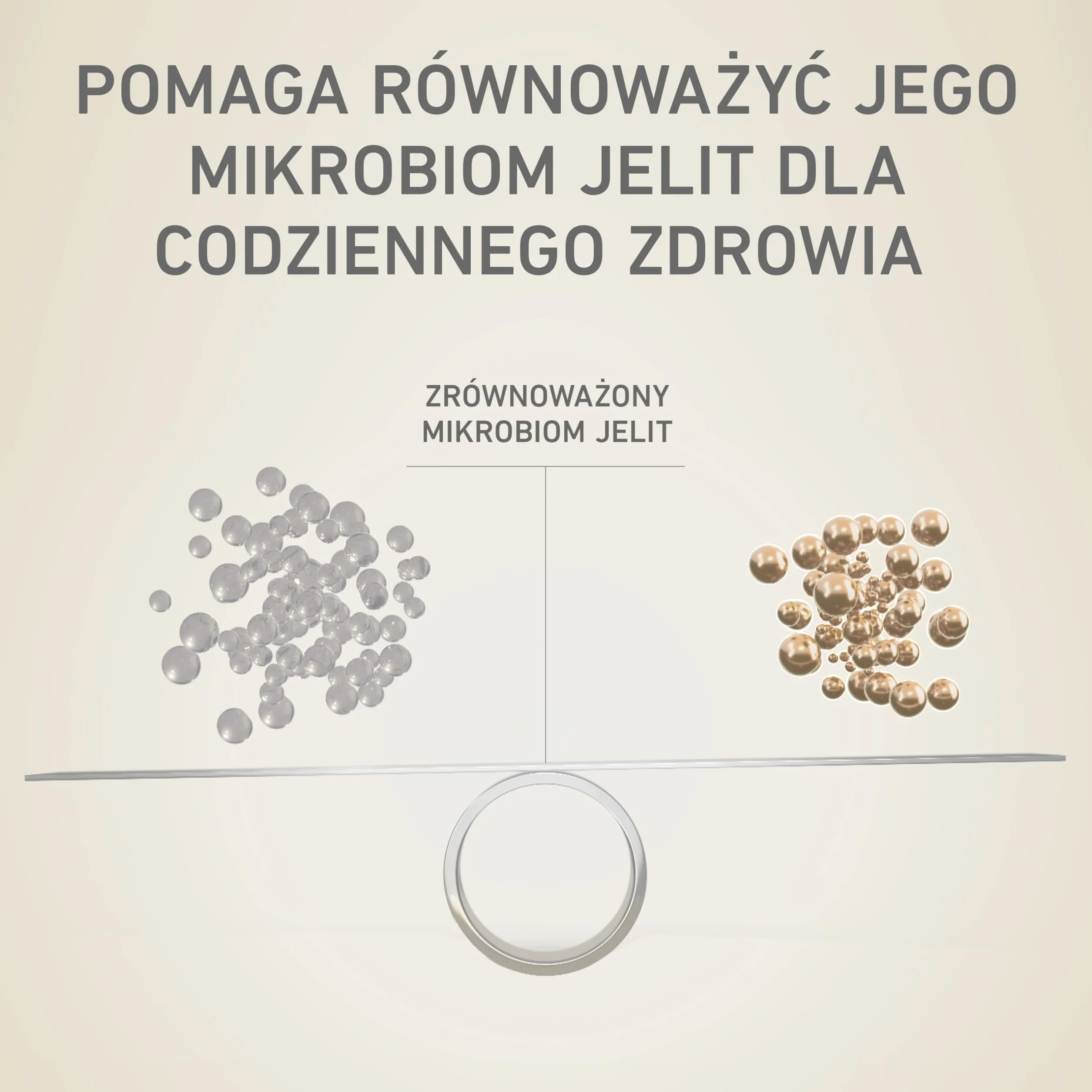 Purina One Mini/Small Active Karma dla Psa, Wołowina I Ryż, 8x800 g