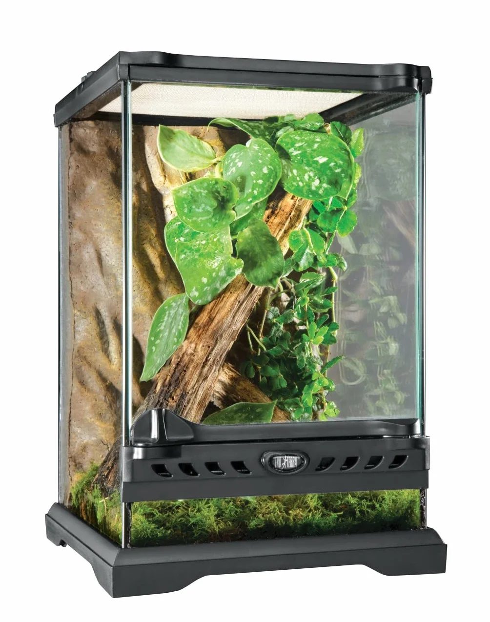 Exo Terra Terrarium, Przezroczysty/Czarny, 20x20x30 cm (1er Pack)