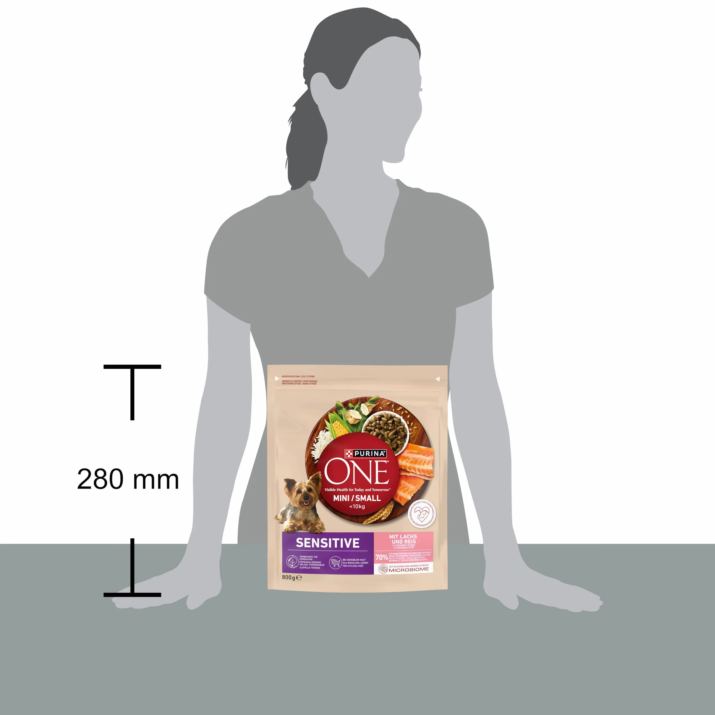 Purina One Mini/Small Active Karma dla Psa, Wołowina I Ryż, 8x800 g