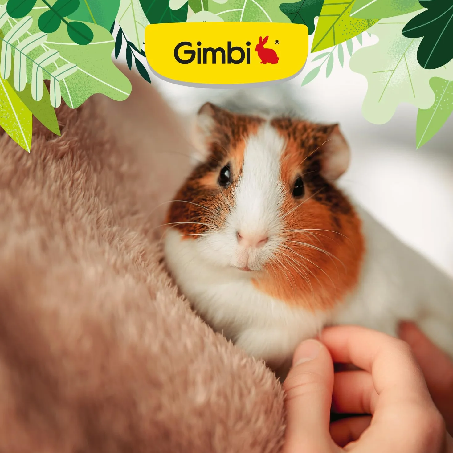 Gimbi Malt Anti-Hairball pasta - Zdrowy smakołyk dla gryzoni ze słodem i błonnikiem dla wspomagania trawienia - 1 tubka (1 x 50 g)