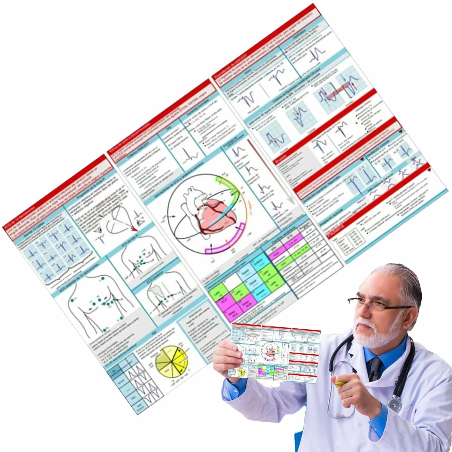 Kieszonkowy przewodnik EKG, karta kieszonkowa EKG, interpretacja rytmu EKG, dwustronna kompaktowa i przenośna karta referencyjna, karty pamięci ratowników medycznych, szybka interpretacja EKG Pocket