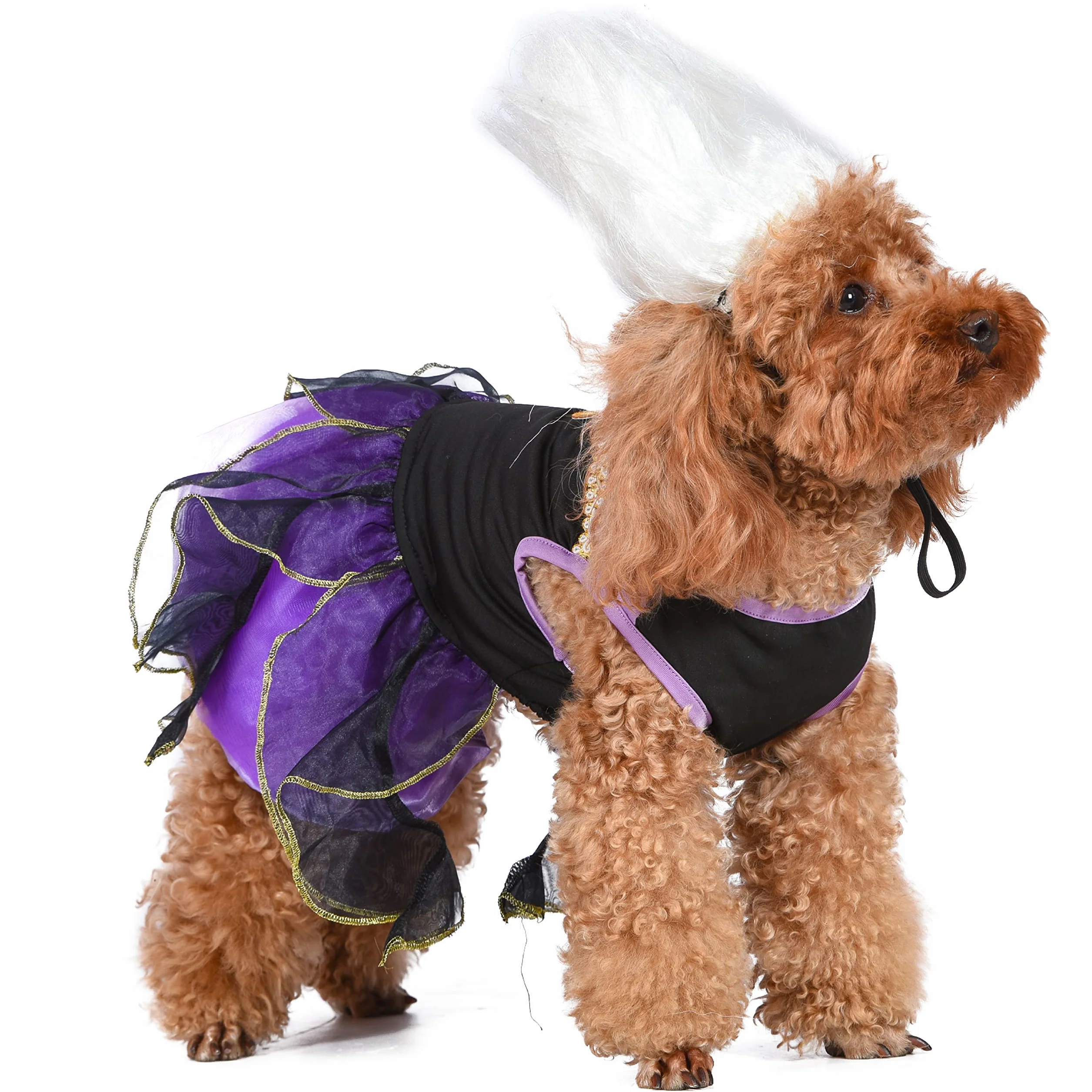 Disney for Pets Kostium złoczyńcy Disneya na Halloween, Urszula, XS | Disney Villains kostiumy na Halloween dla psów, oficjalnie licencjonowany kostium dla psa Disneya, na Halloween, fioletowy