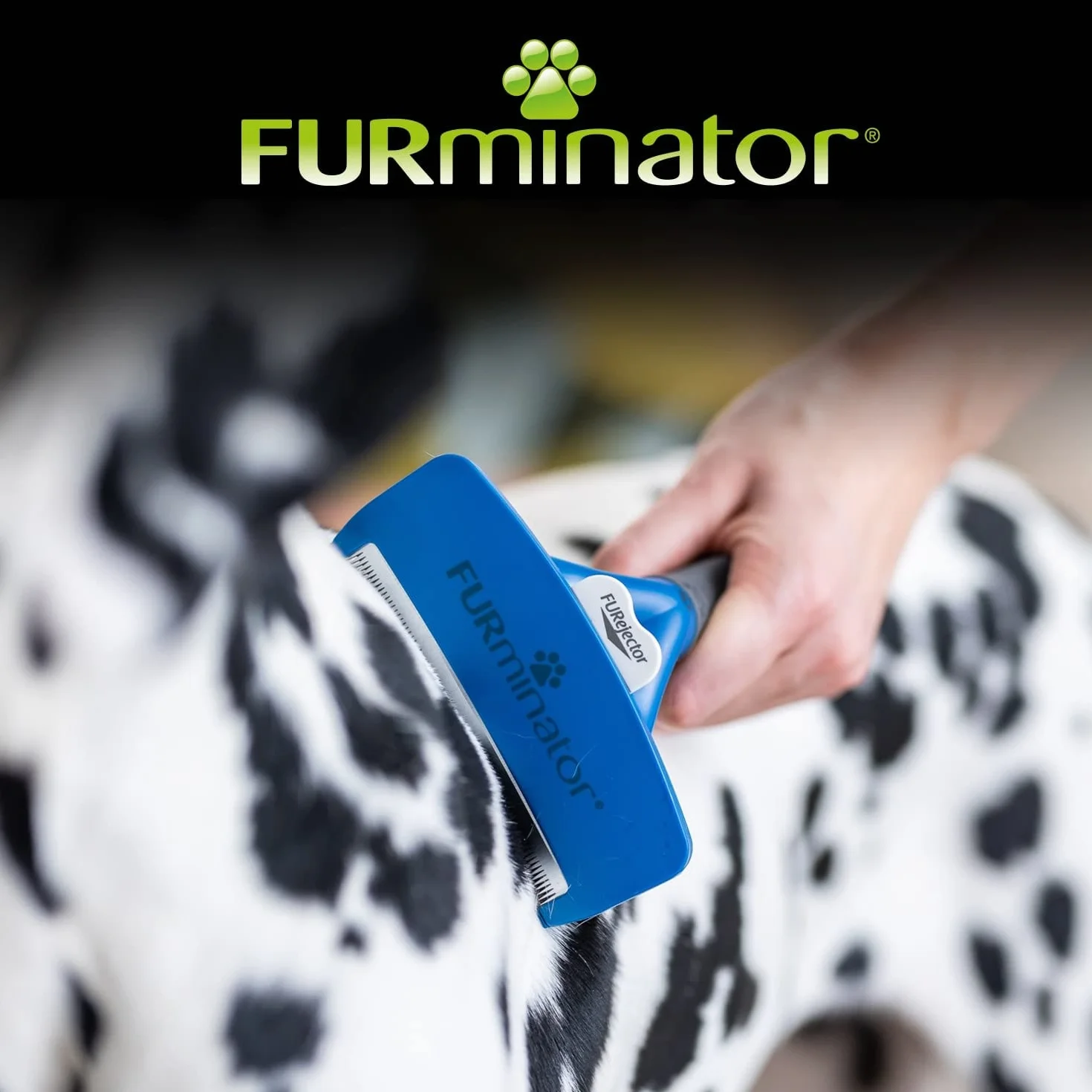 Furminator T691656 Zgrzebło do Pielęgnacji Sierści Dużych Psów, L, Czarny/Niebieski