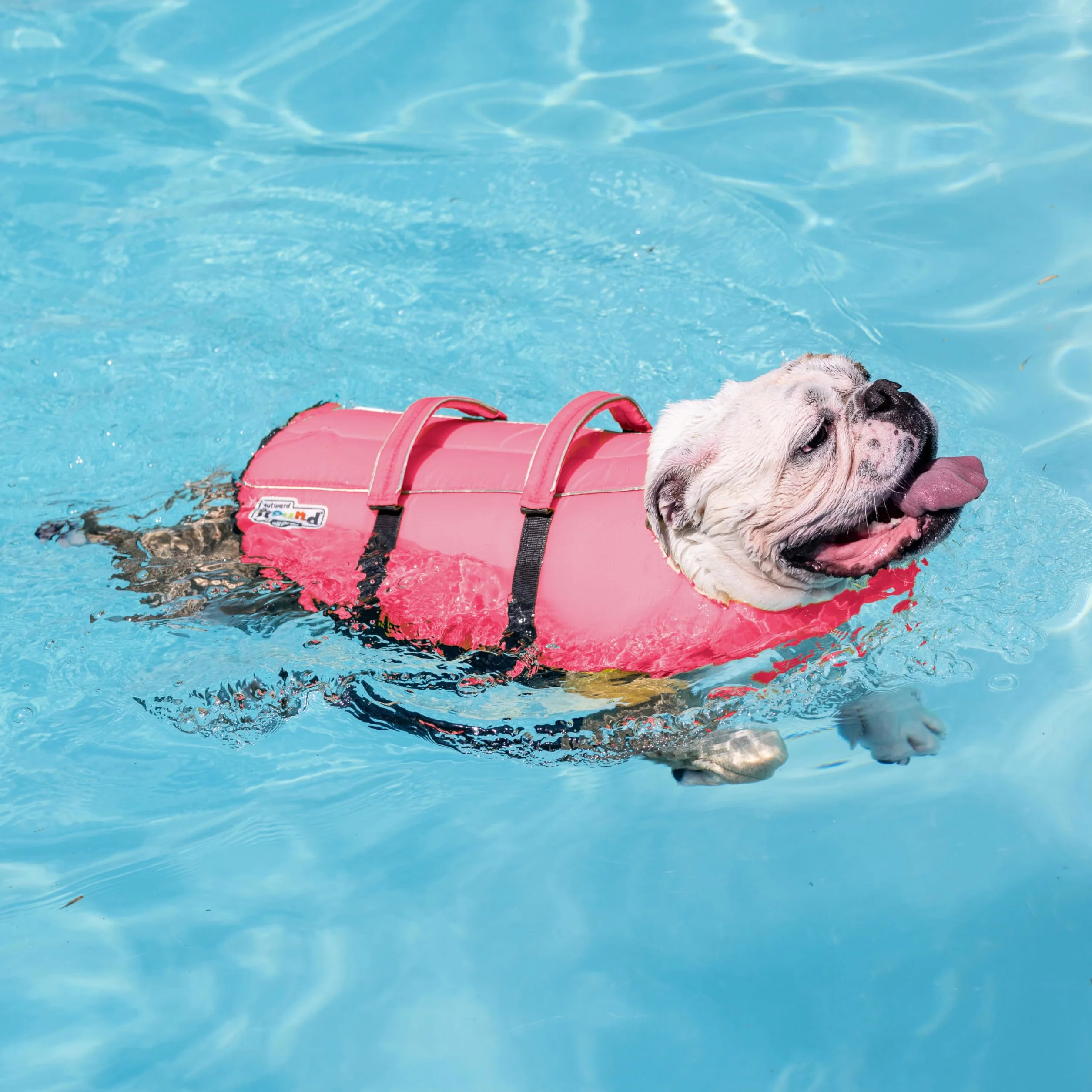 Outward Hound Granby Splash różowa kamizelka ratunkowa dla psa, mała