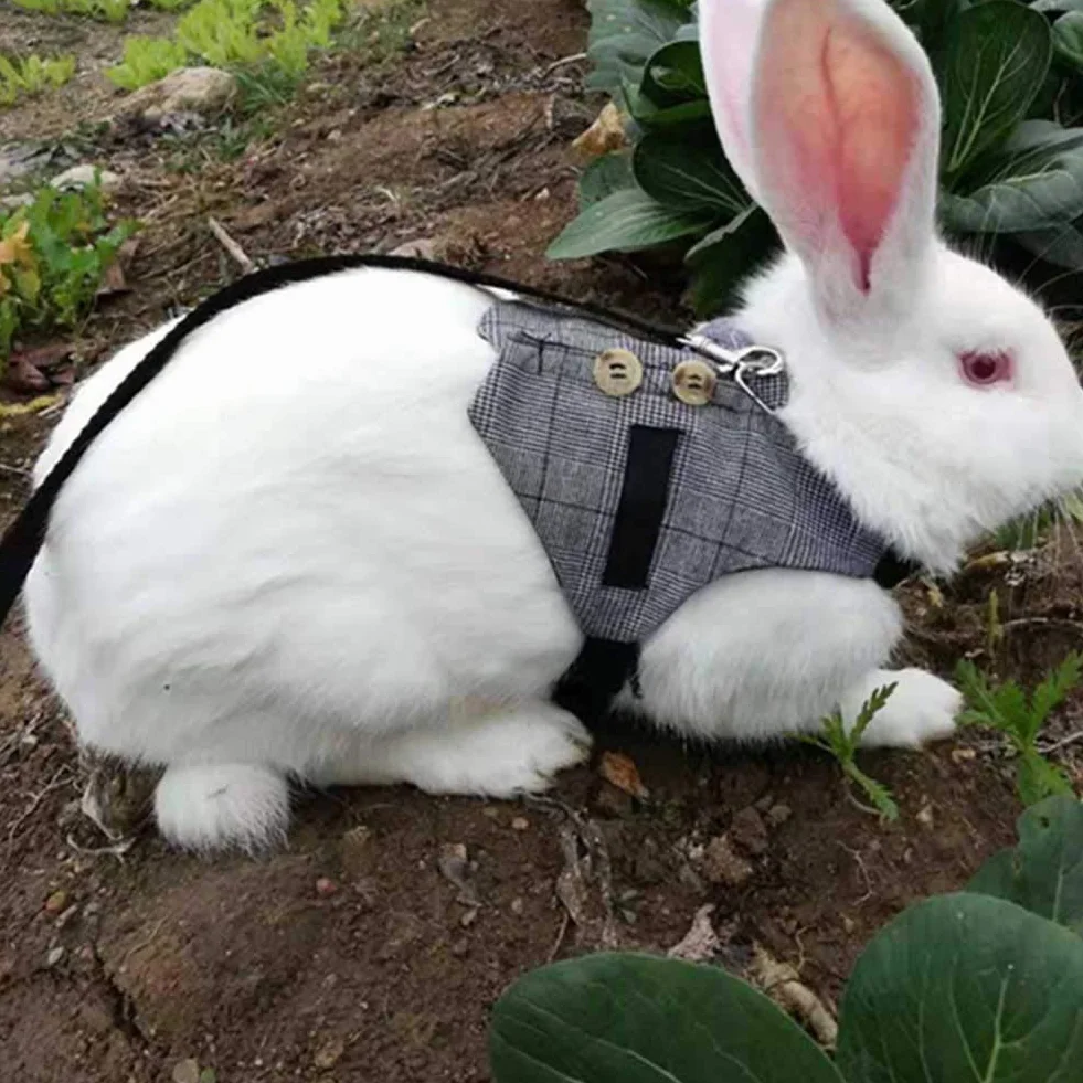 Tnfeeon Rabbit Soft Breathable Harness mit Leine, Pet Rabbit Kleintier Walking Harness Weste Leine Blei(L)