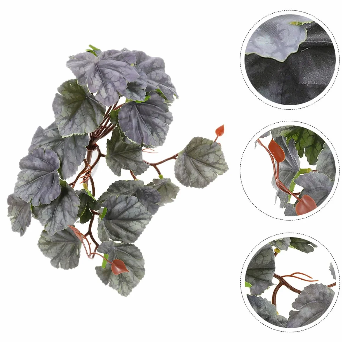 5szt Przyssawki Do Roślin Wiszących Rośliny Kraba Pustelnika Terrarium Wodospady w Terrariach Dla Gadów Rośliny Do Terrariów Monstera Wąż Zakład Zbiornik Wodny Plastikowy