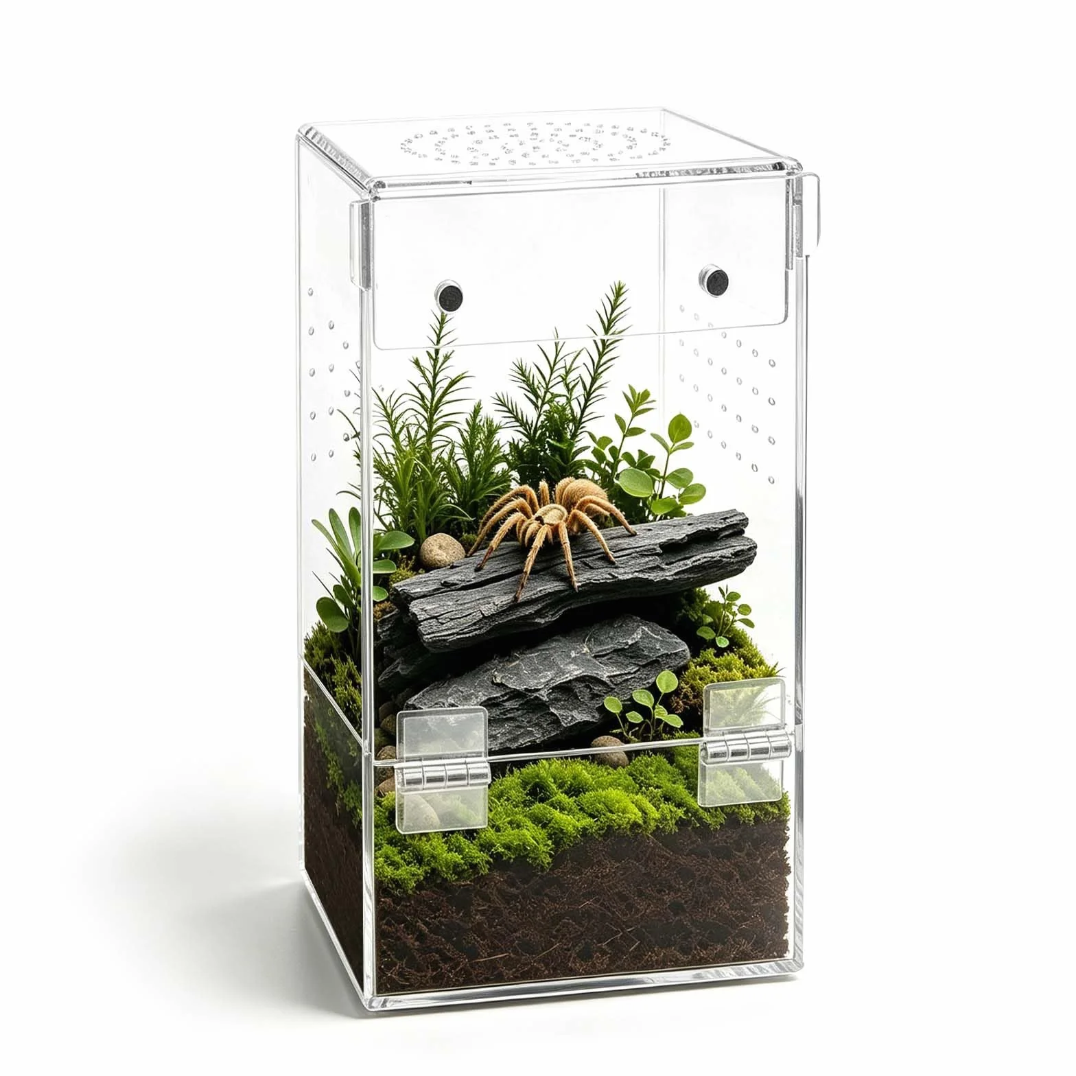 Akrylowe terrarium mini faunarium dla skaczących pająków, wysokie 8 × 8 × 15 cm, akrylowe pudełko do karmienia owadów z wentylacją, 360° przezroczyste pudełko hodowlane dla ślimaków, ptaszników