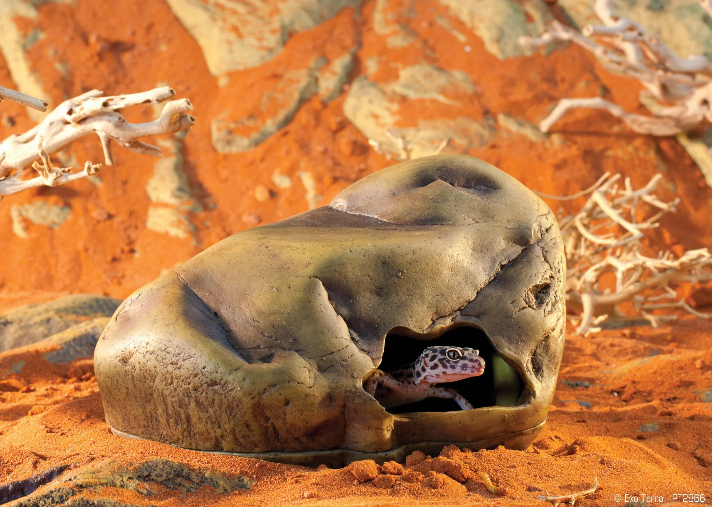 Exo Terra Jaskinia Gecko, duża, brązowa