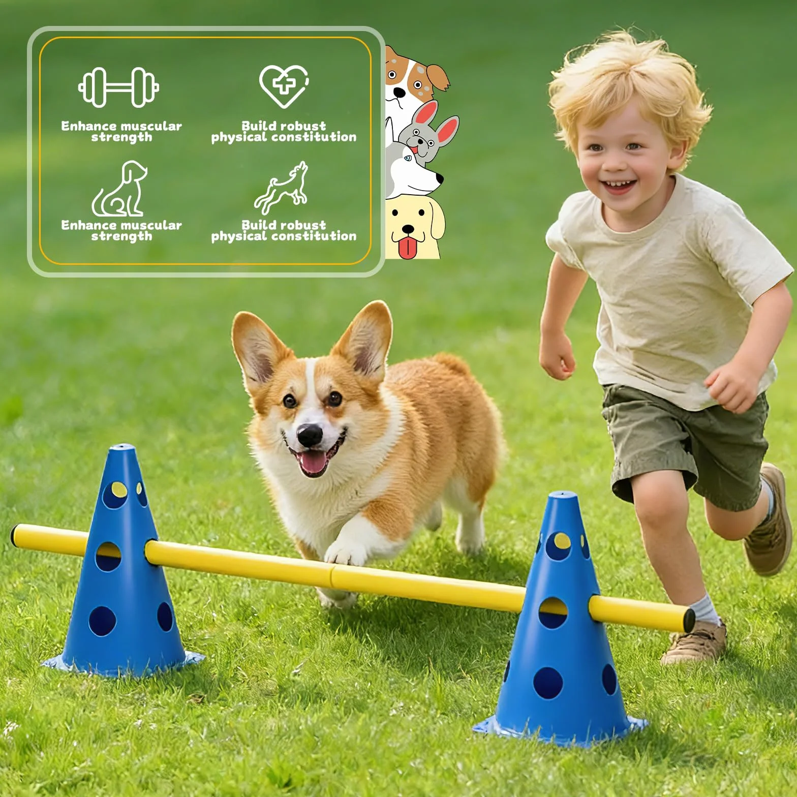 Zestaw Agility 8-częściowy dla psów, Cavaletti dla psa, hobby konie, przeszkody, słupki, przeszkody, hobby horsing, trening psów, akcesoria do agility