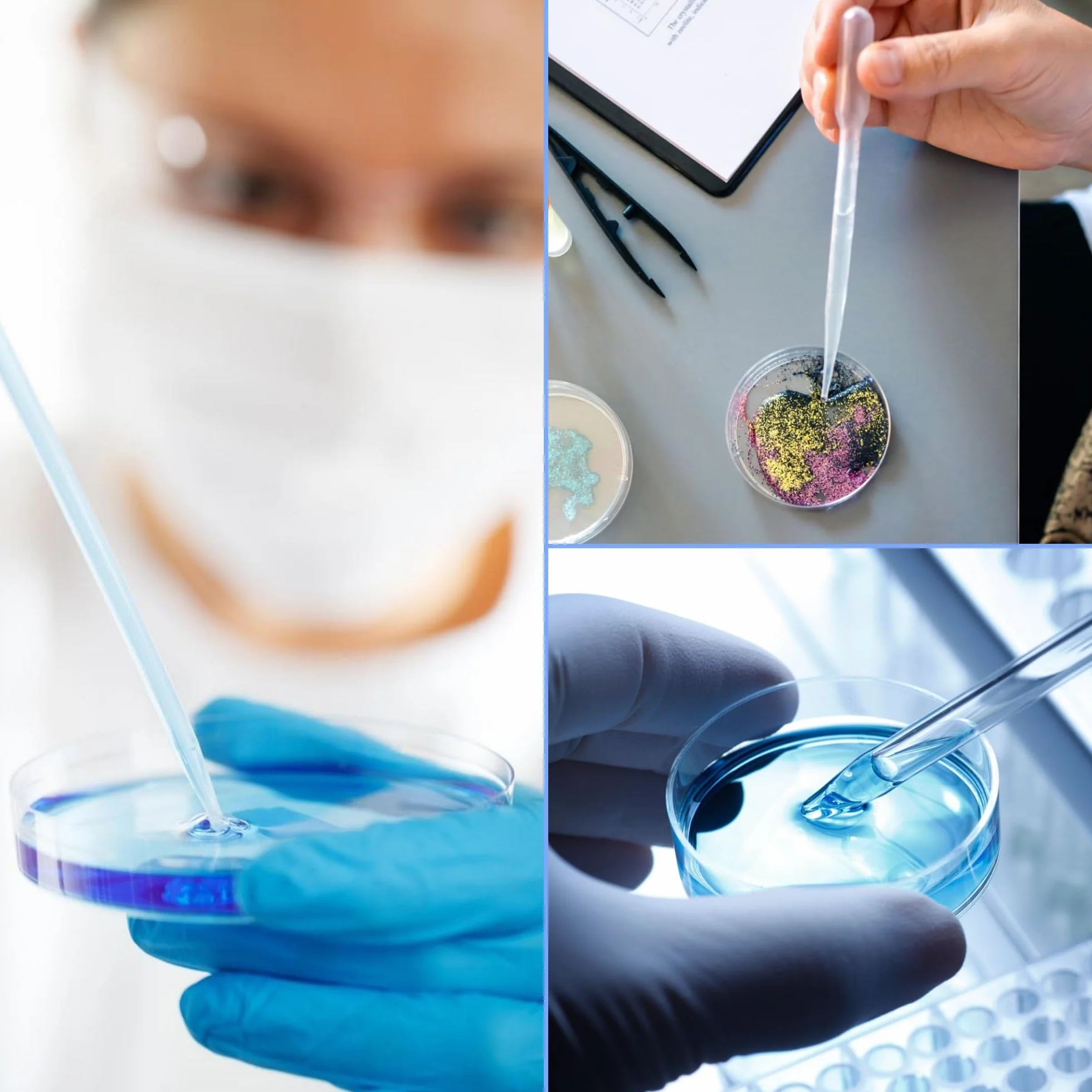 15 x miseczka do Petriego z tworzywa sztucznego z pokrywką, sterylizowana miska Petriego, przezroczysta z 10 plastikowymi kroplomierzami 3 ml i 10 naklejkami i 50 mikroskopami mikroskopowymi, do