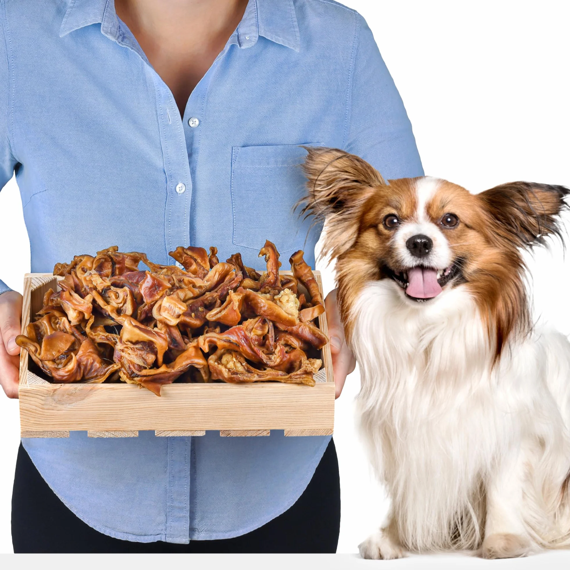 Naturalne uszy wieprzowe w paski dla psów 1 kg (55-65 sztuk) | naturalna przekąska do żucia ze 100% świni | miękka i bogata w białko | bez dodatków i bez zbóż