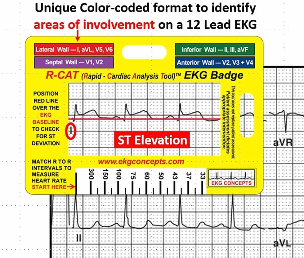 R-Cat Odznaka EKG