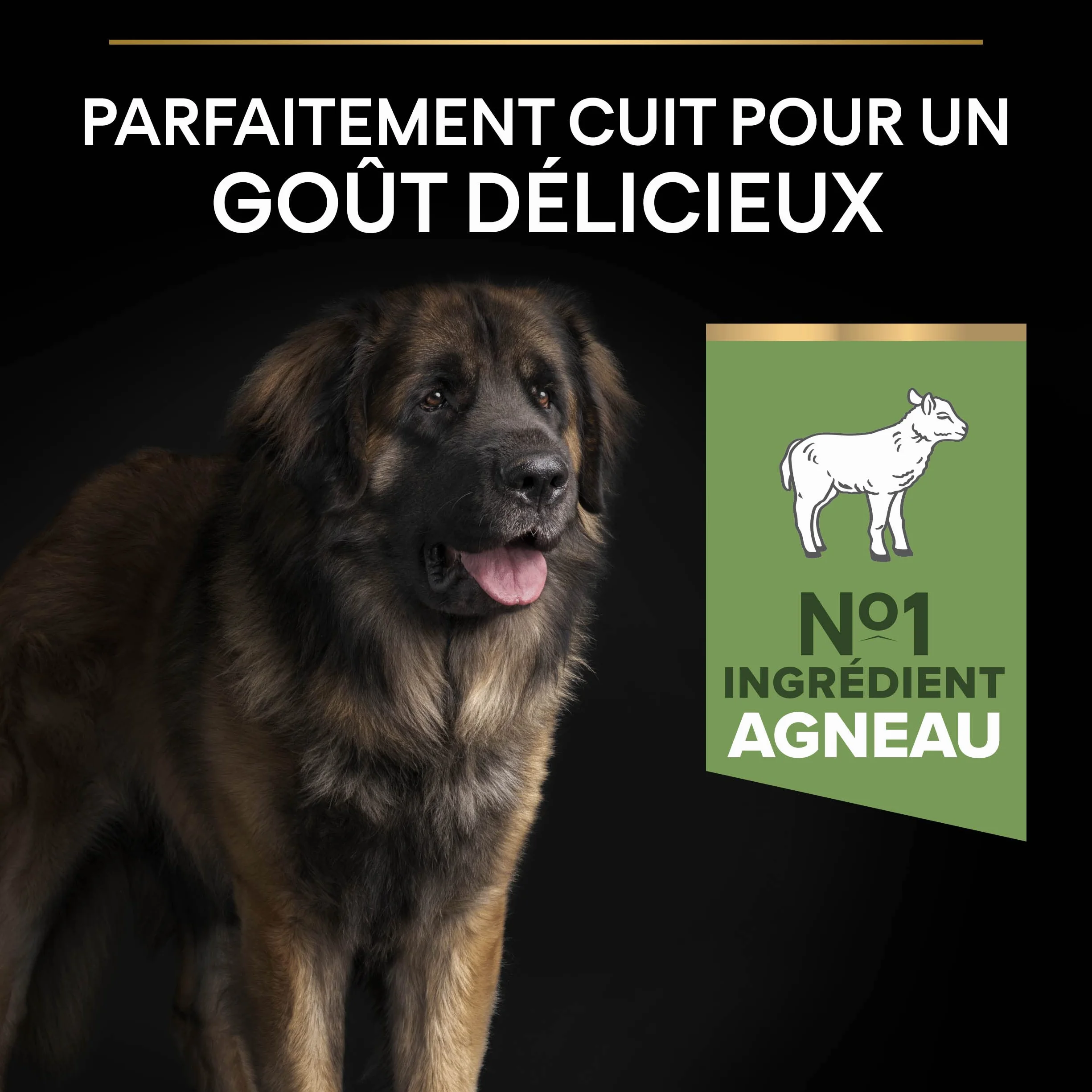 PRO PLAN | Large| Robust Adult | Sensitive Digestion | Jagnięcina | 14kg