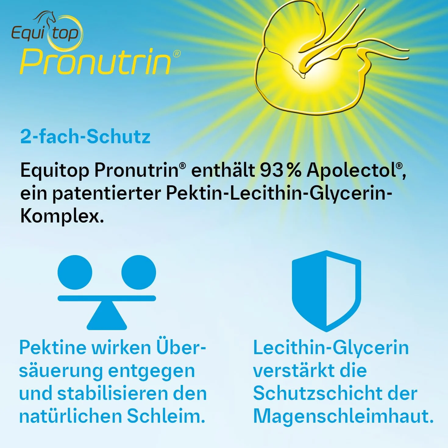Boehringer-Ingelheim Unisex's BIH0030 Equitop Pronutrin, przezroczyste, regularne