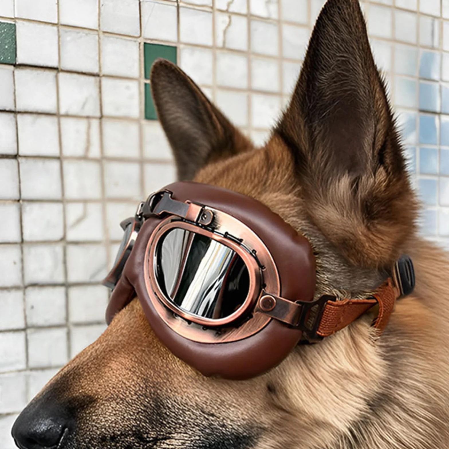 1 x gogle dla psów, retro okulary przeciwsłoneczne dla psów, ochrona przed promieniowaniem UV, wiatroszczelne okulary przeciwsłoneczne dla psów, okulary przeciwsłoneczne dla zwierząt domowych
