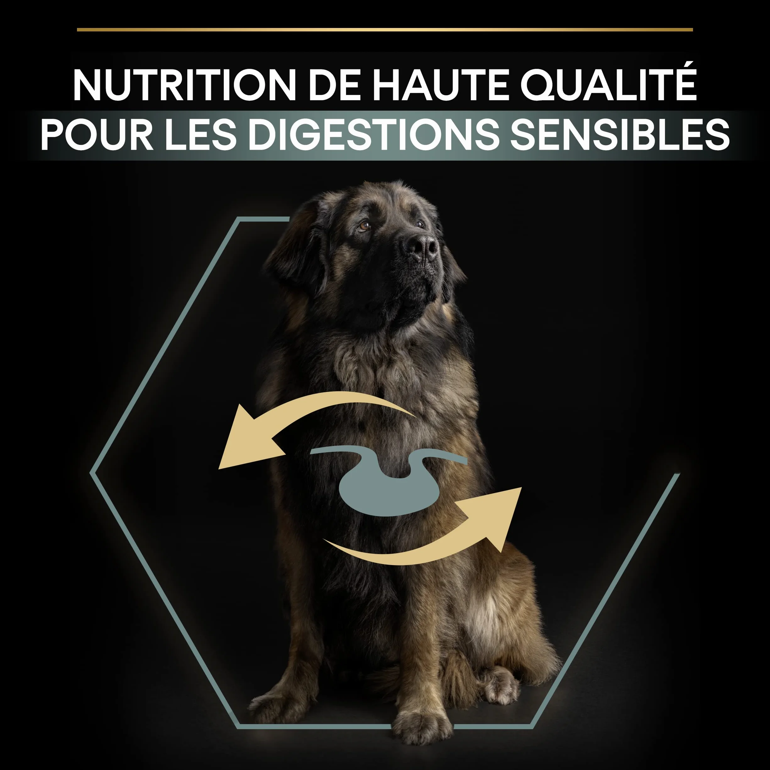 PRO PLAN | Large| Robust Adult | Sensitive Digestion | Jagnięcina | 14kg