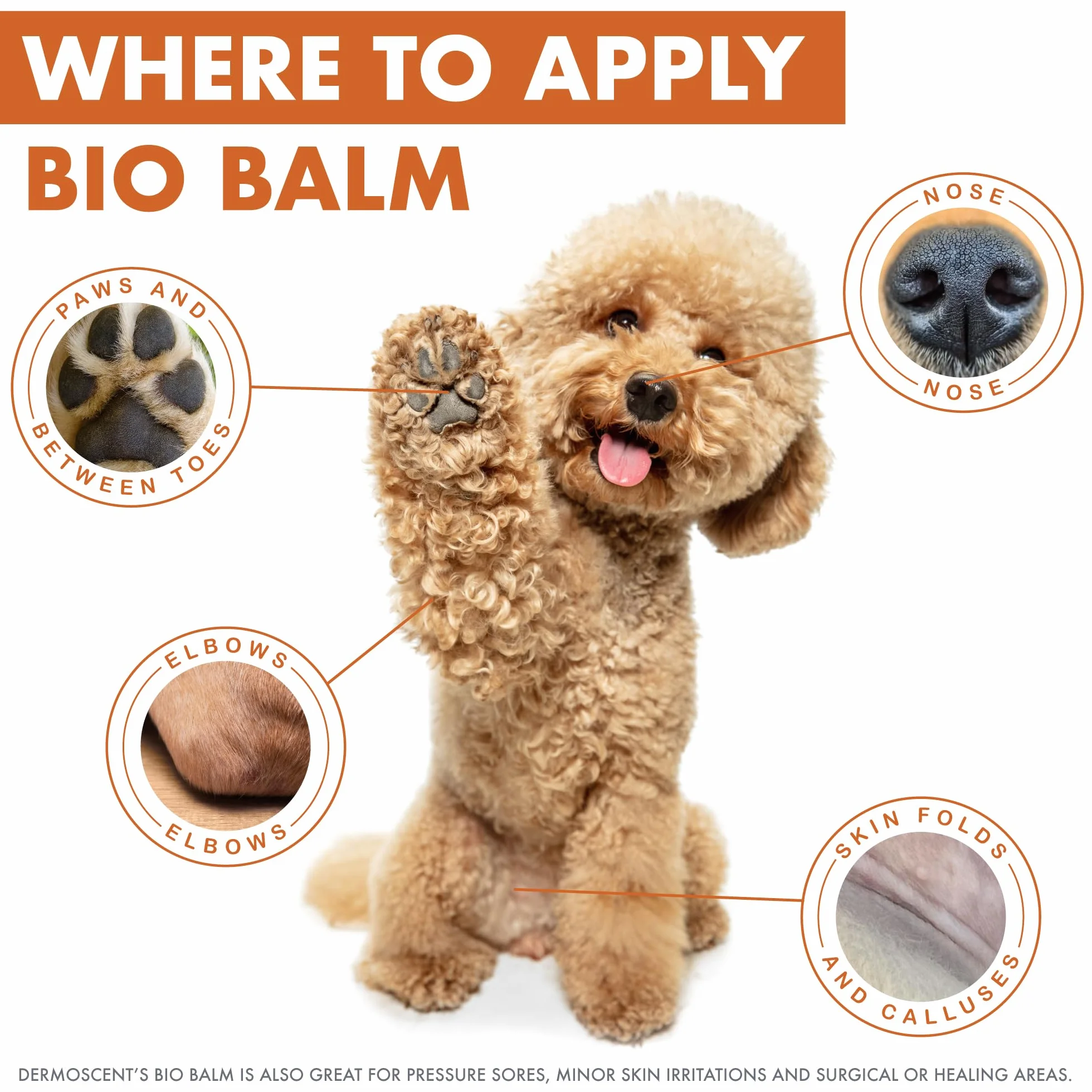 Dermoscent Bio Balm - 50 ml
