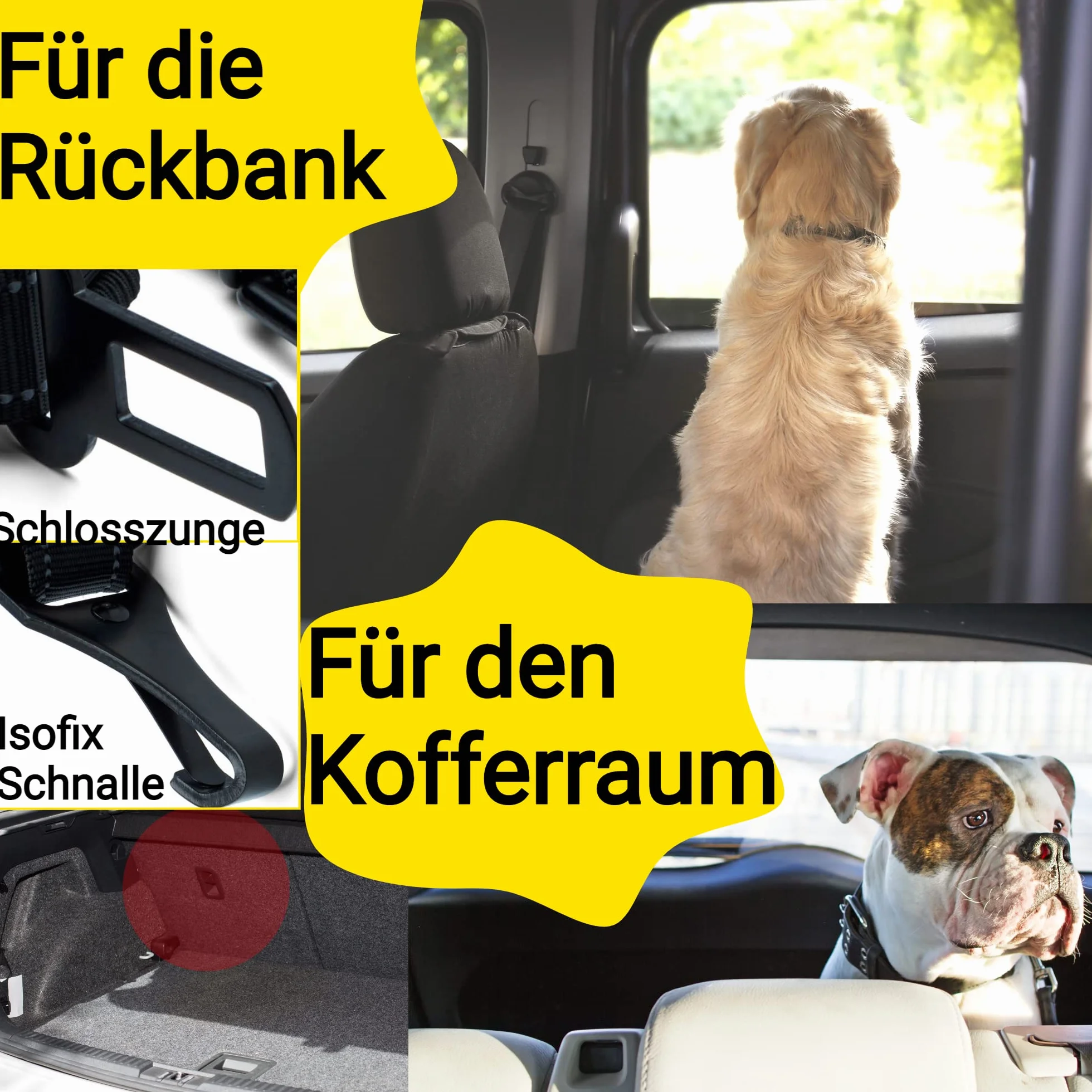 Hundefreund Pas Bezpieczenstwa dla Psa – Regulowany Pas Samochodowy z Amortyzatorem dla Srednich i Duzych Psów – Dodatkowo Wzmocniony Pas do Wszystkich Typów Samochodów (Czarny)
